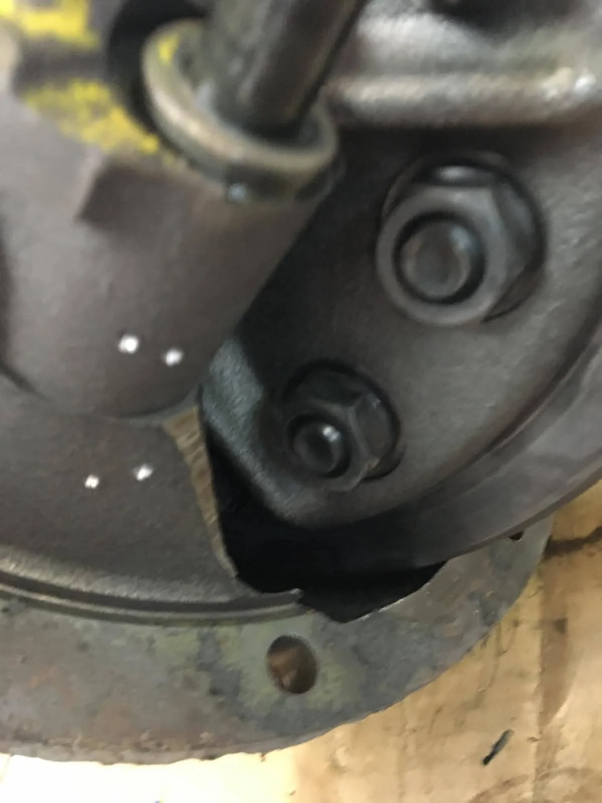 PHOTO-2024-05-10-05-29-36 2.jpg