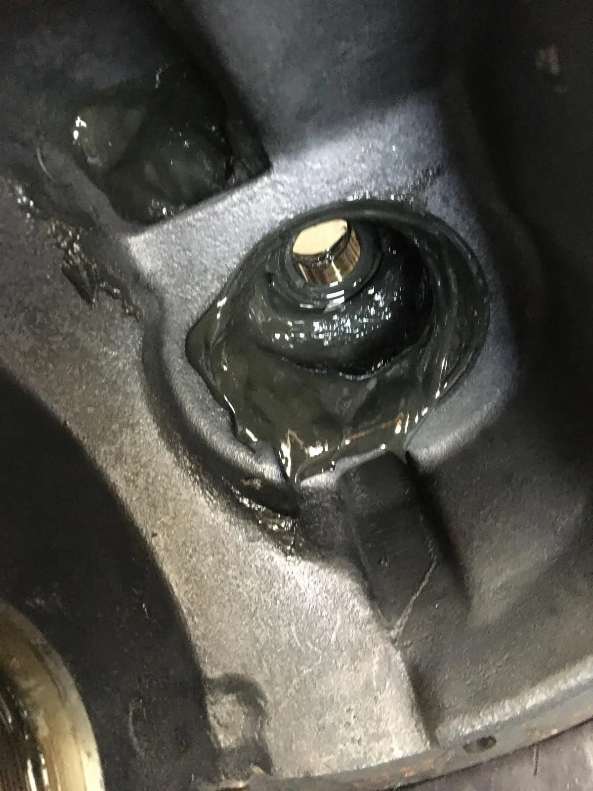 PHOTO-2024-05-10-05-29-33 2.jpg