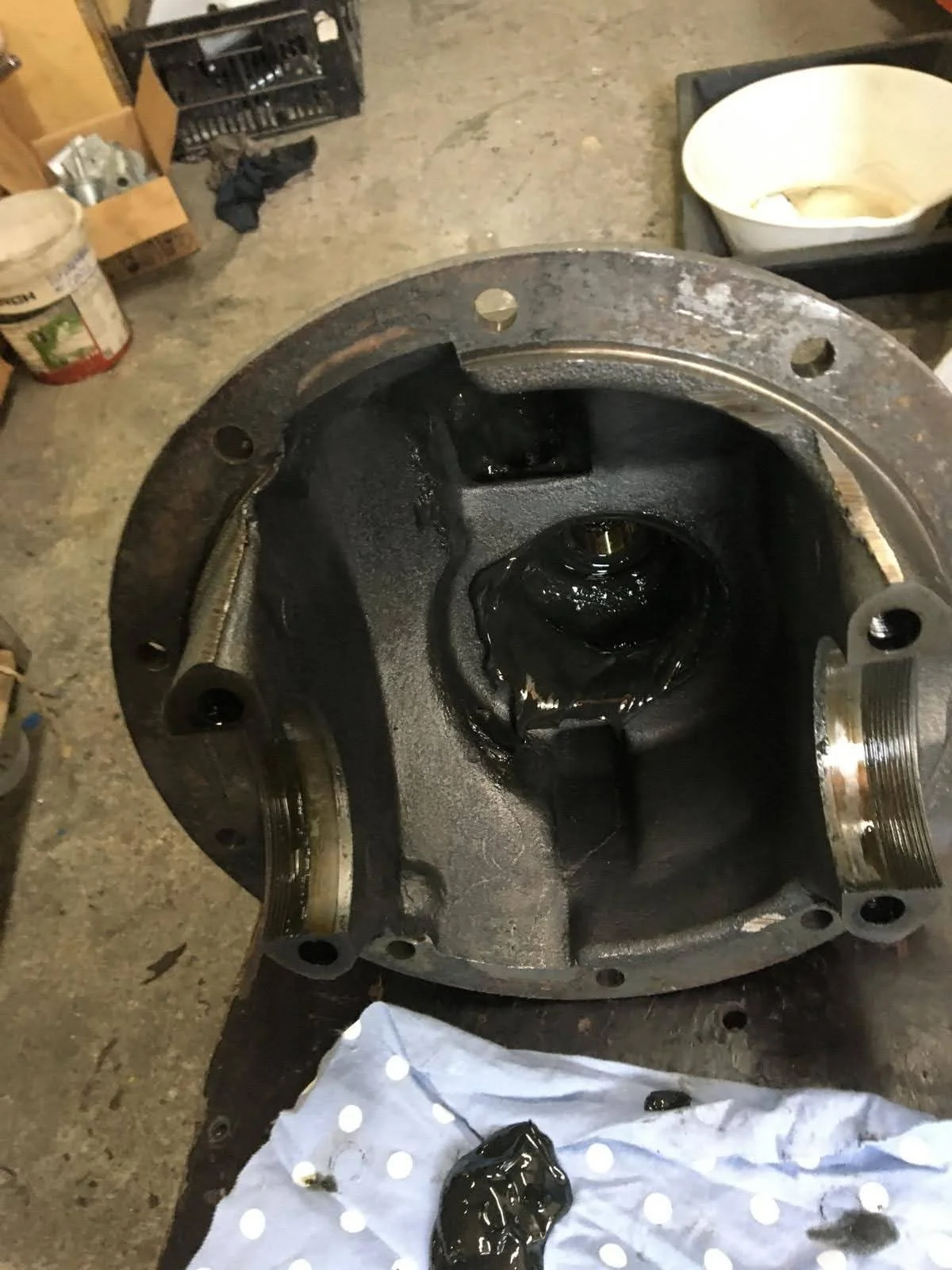 PHOTO-2024-05-10-05-29-32 2.jpg