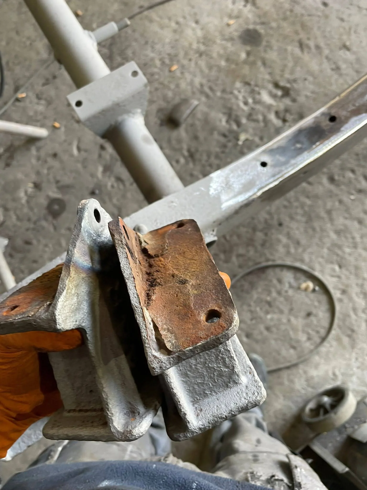 PHOTO-2024-05-10-05-29-00 2.jpg