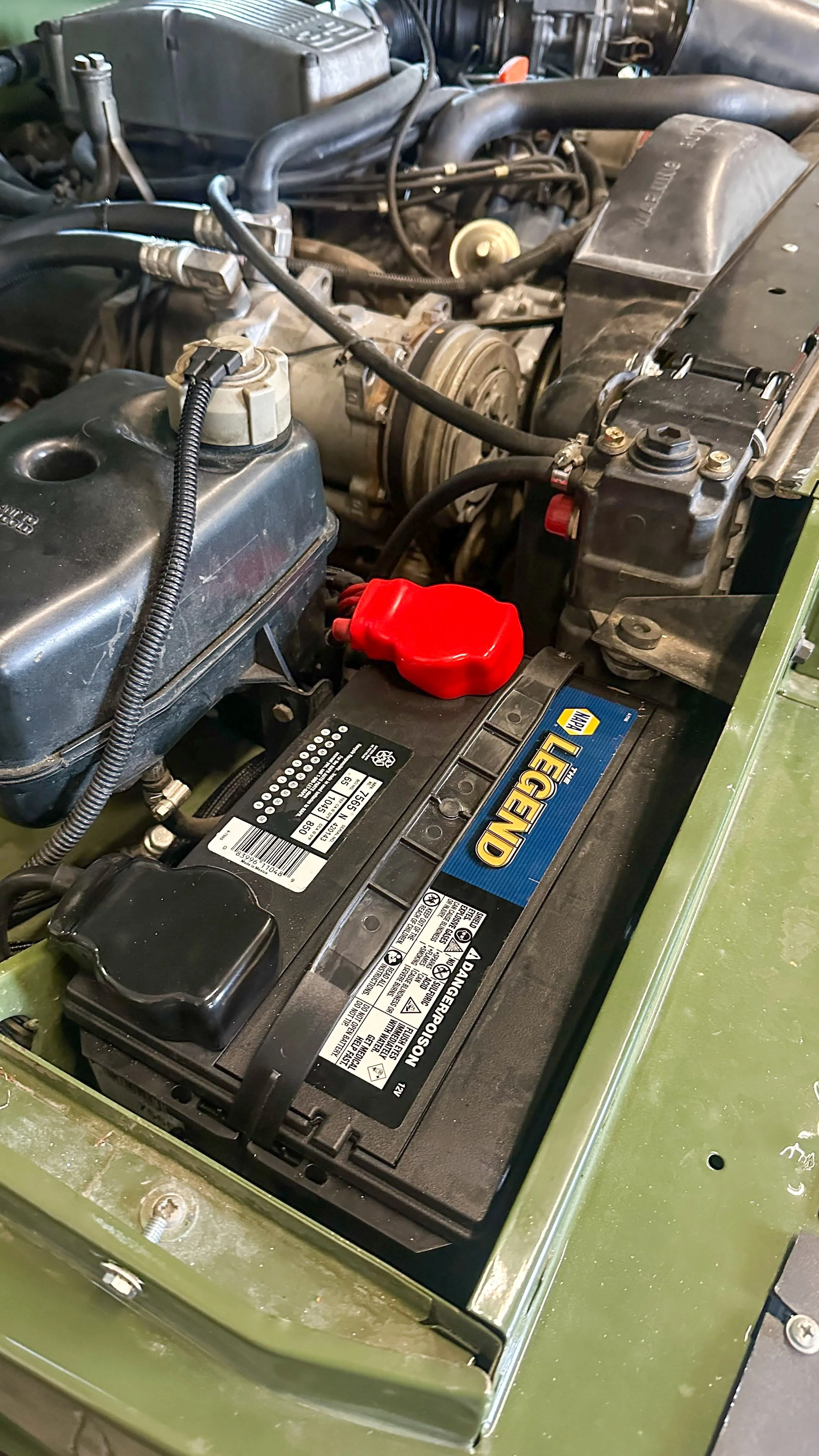 LO_Rescue_LR_RRC_0808.jpg