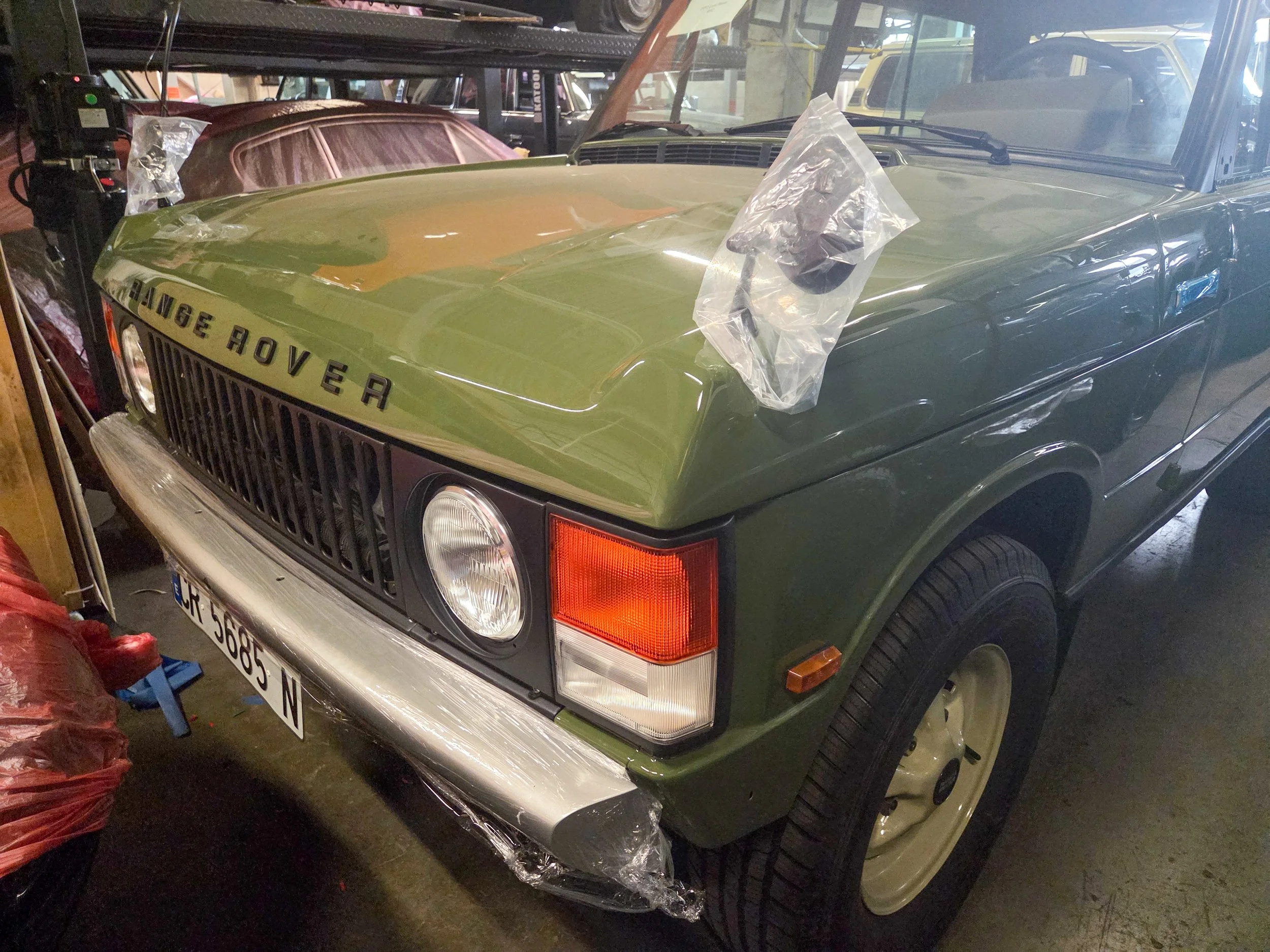 LO_Rescue_LR_RRC_0726.jpg