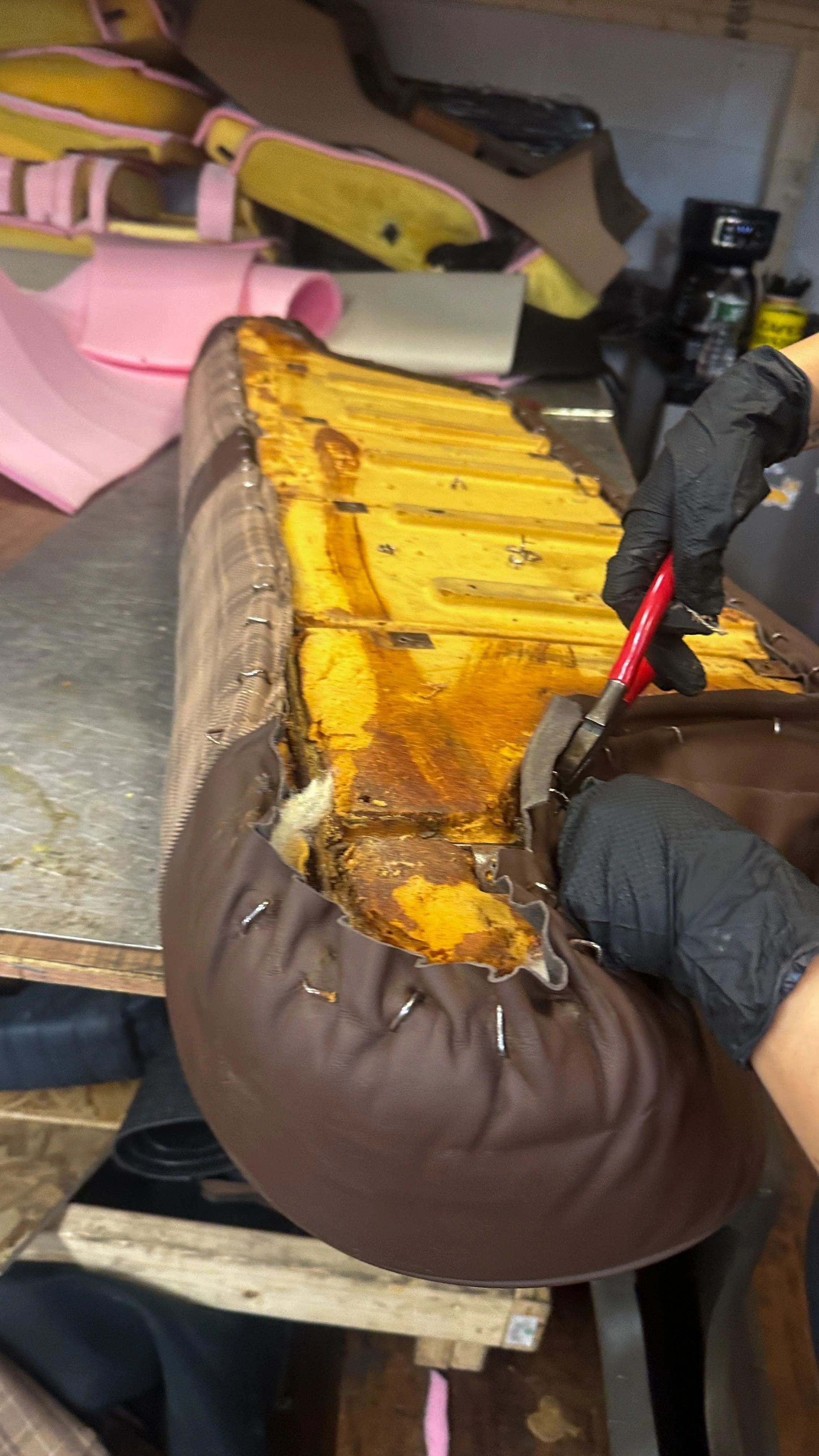 LO_Rescue_LR_RRC_0567.jpg