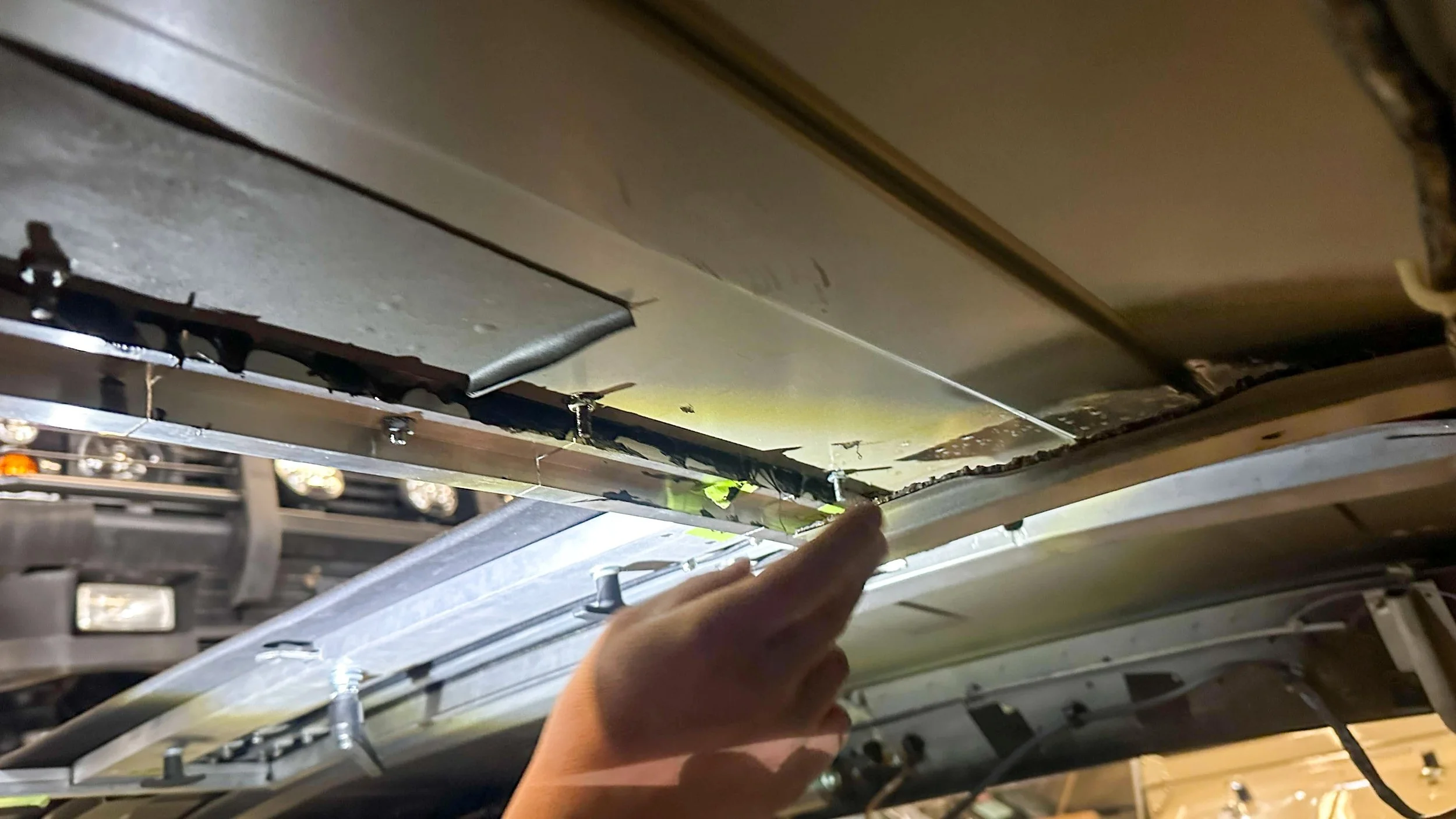 LO_Rescue_LR_RRC_0522.jpg