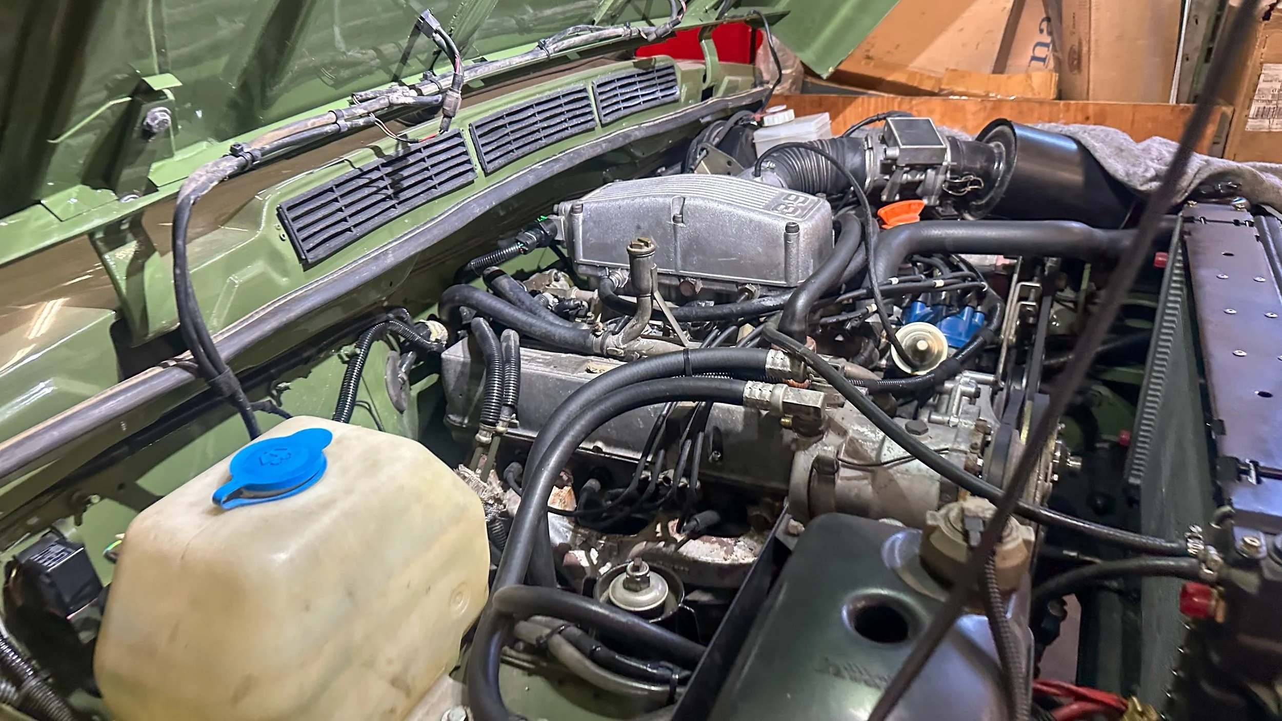 LO_Rescue_LR_RRC_0484.jpg