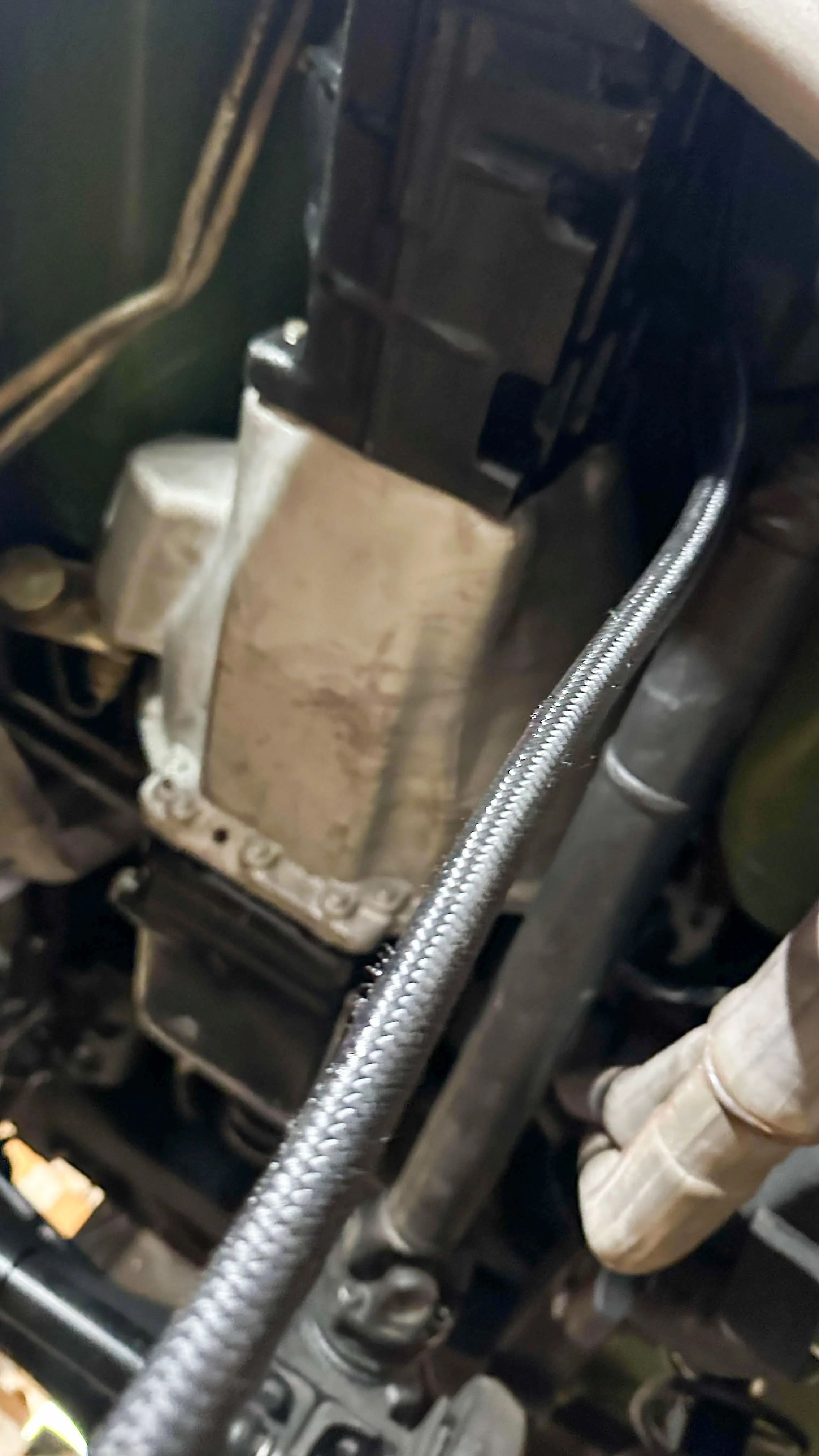 LO_Rescue_LR_RRC_0481.jpg