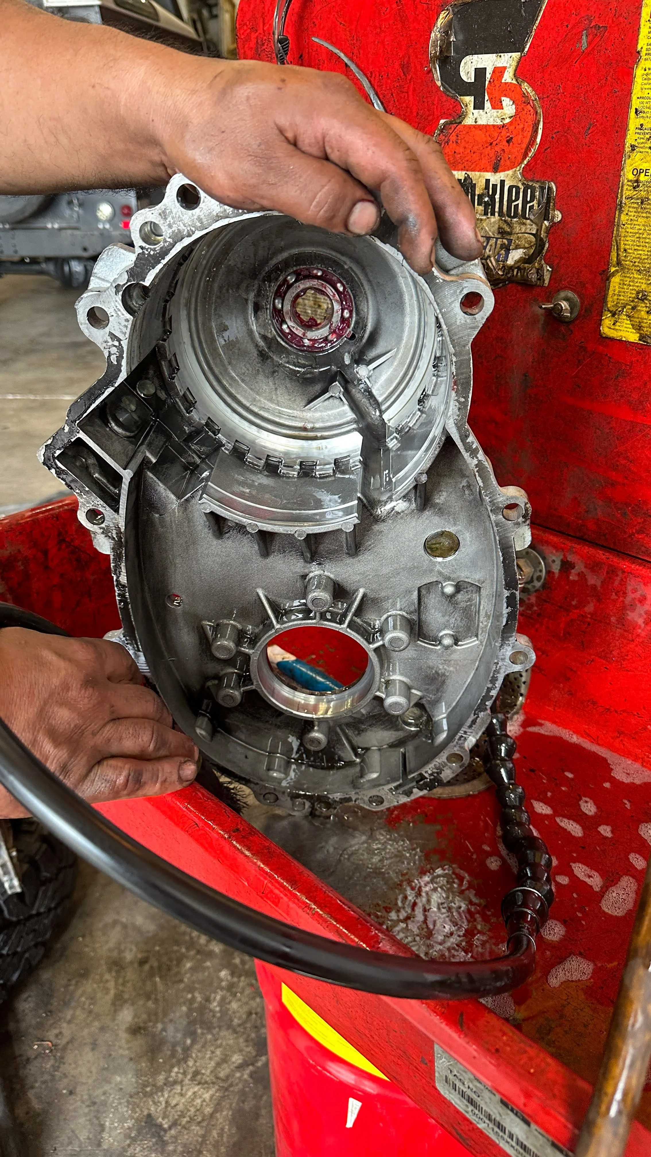 LO_Rescue_LR_RRC_0472.jpg