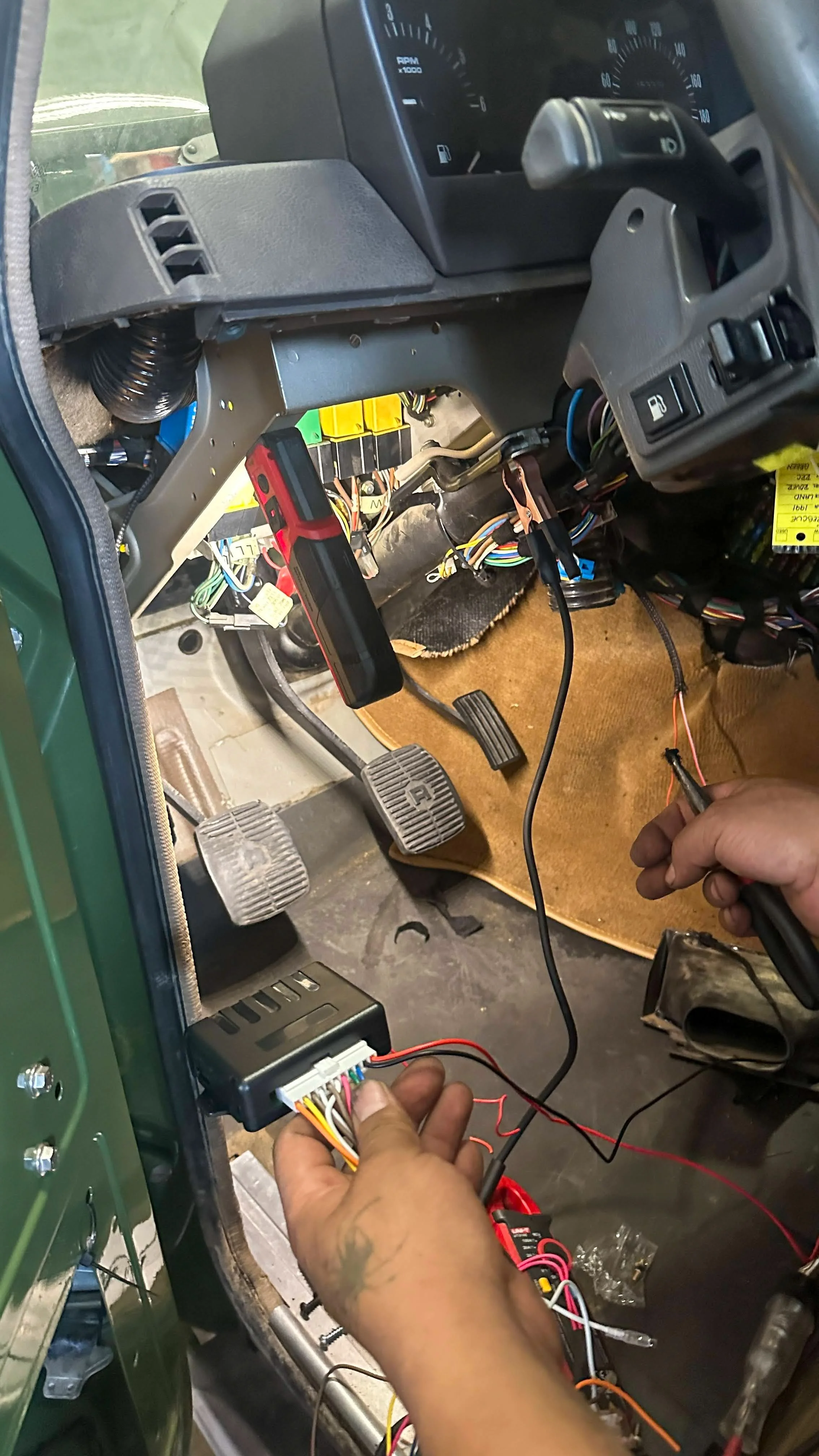 LO_Rescue_LR_RRC_0459.jpg