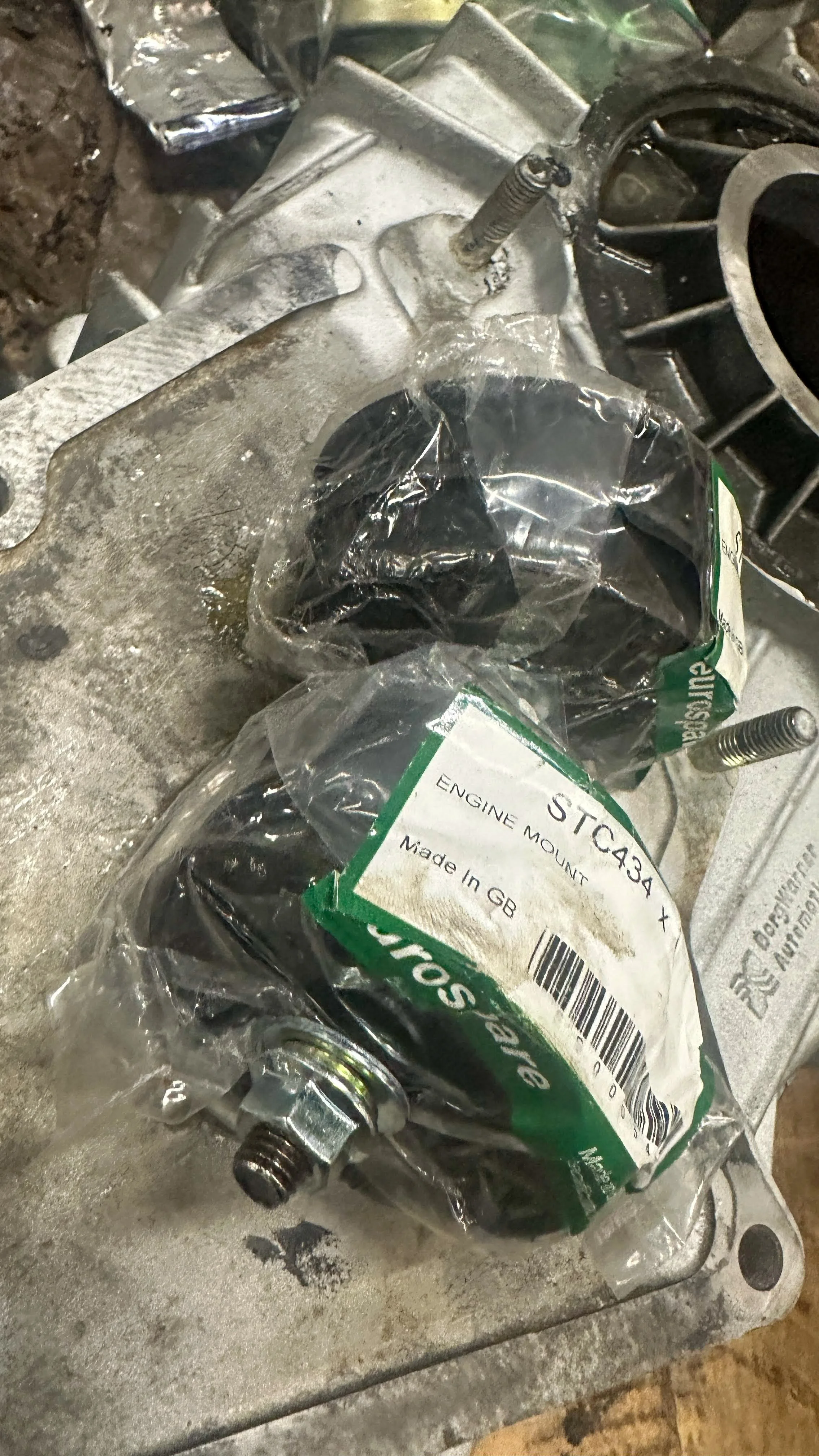 LO_Rescue_LR_RRC_0453.jpg