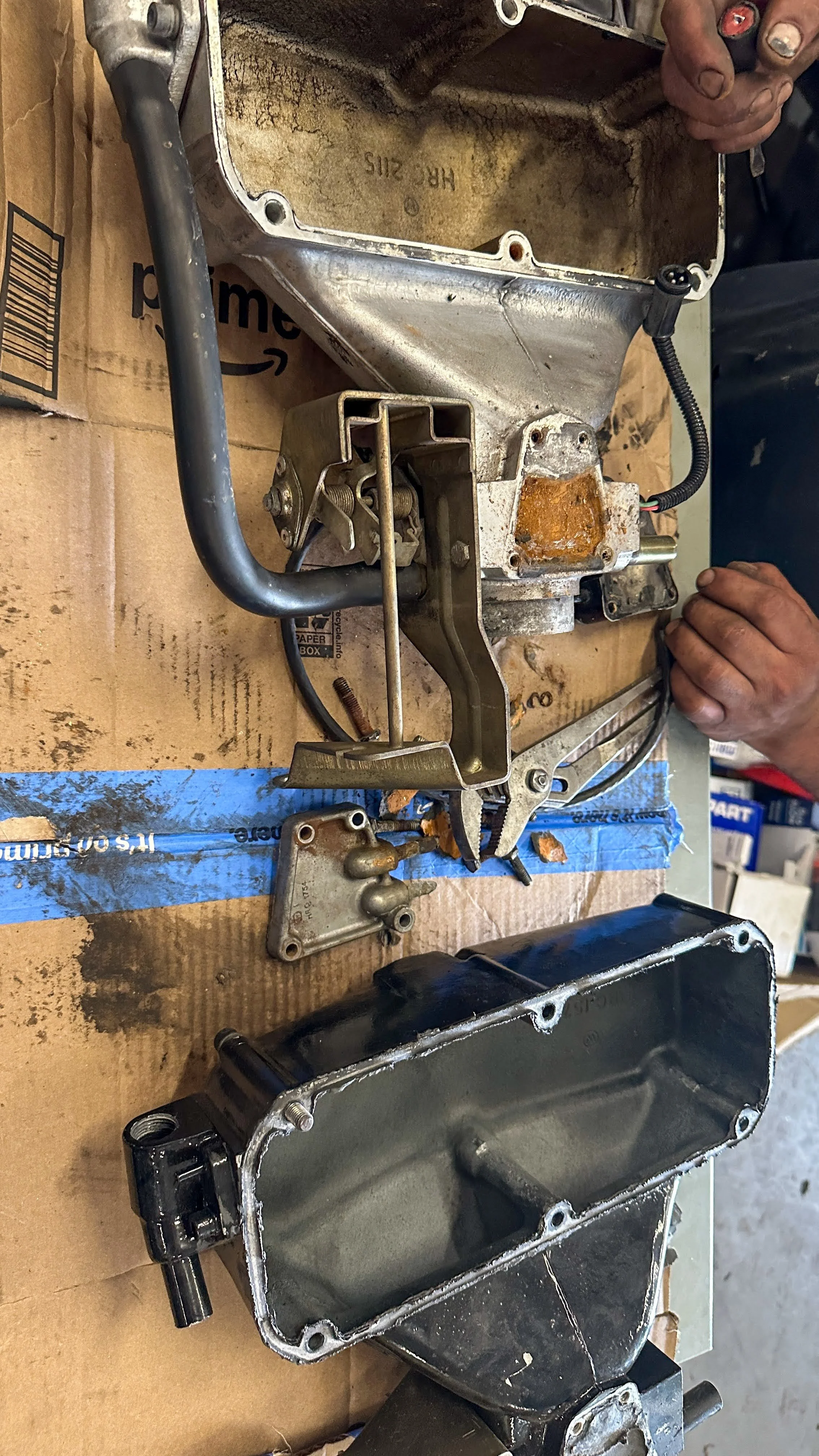 LO_Rescue_LR_RRC_0434.jpg