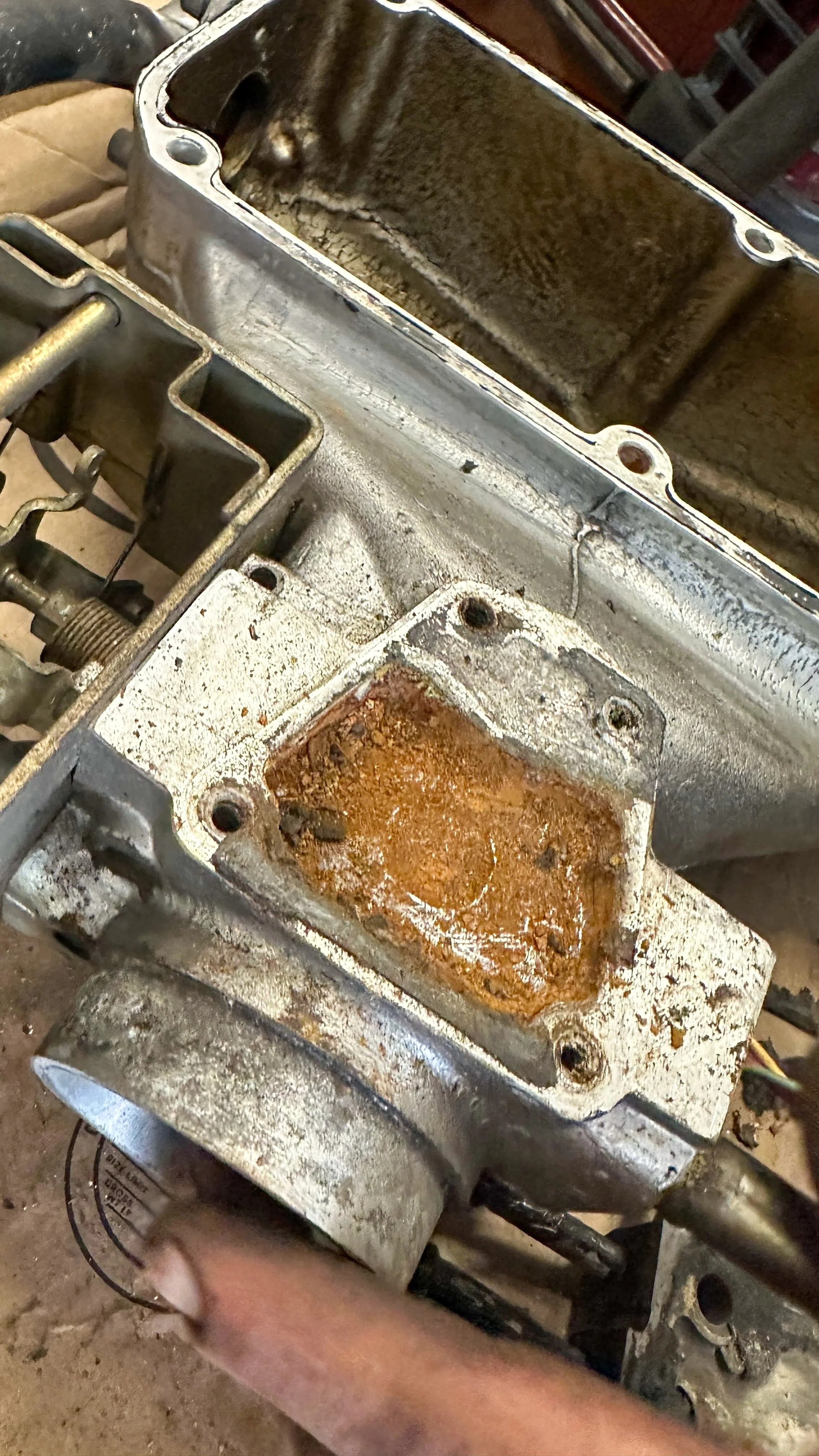 LO_Rescue_LR_RRC_0433.jpg