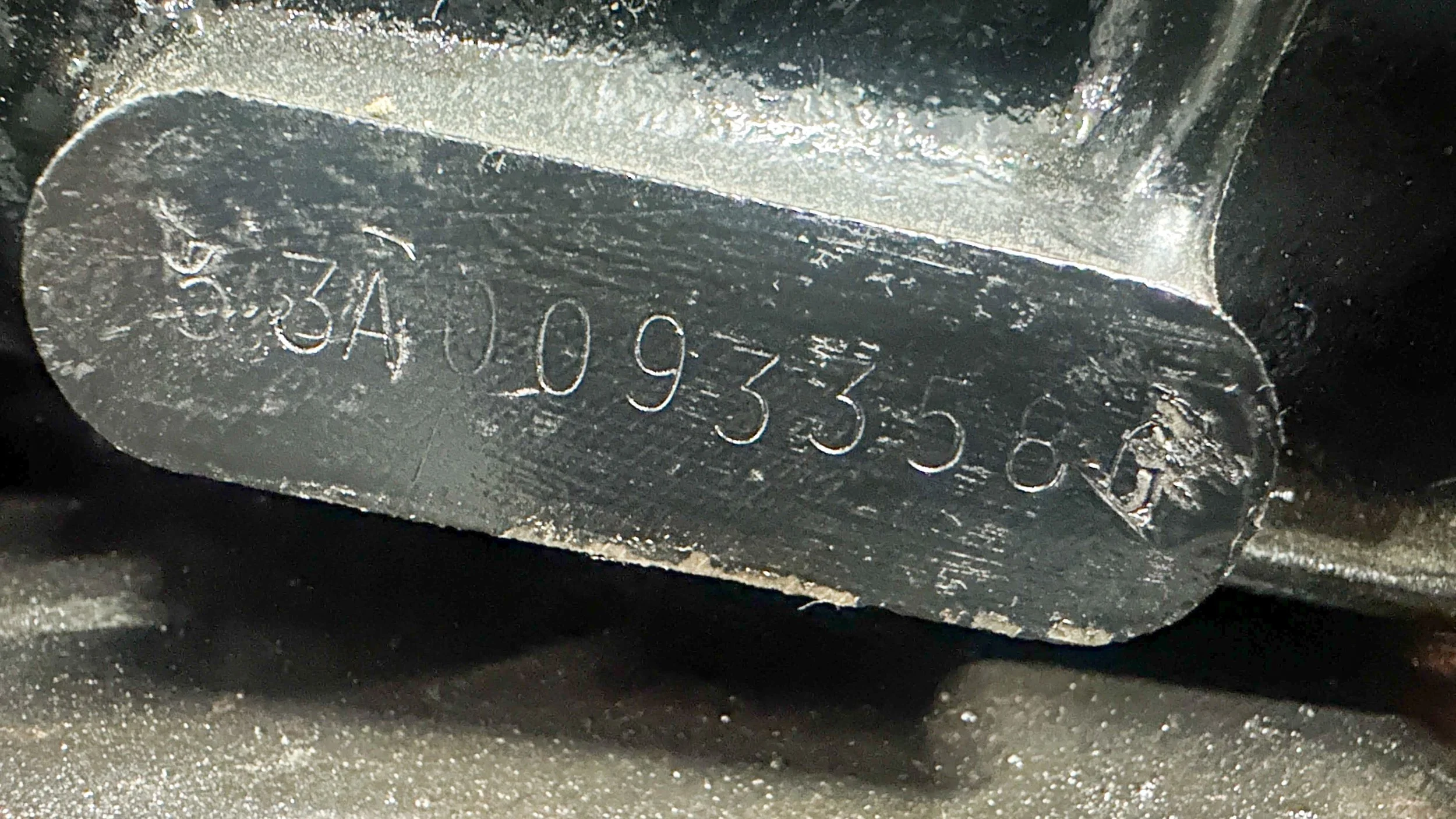 LO_Rescue_LR_RRC_0396.jpg