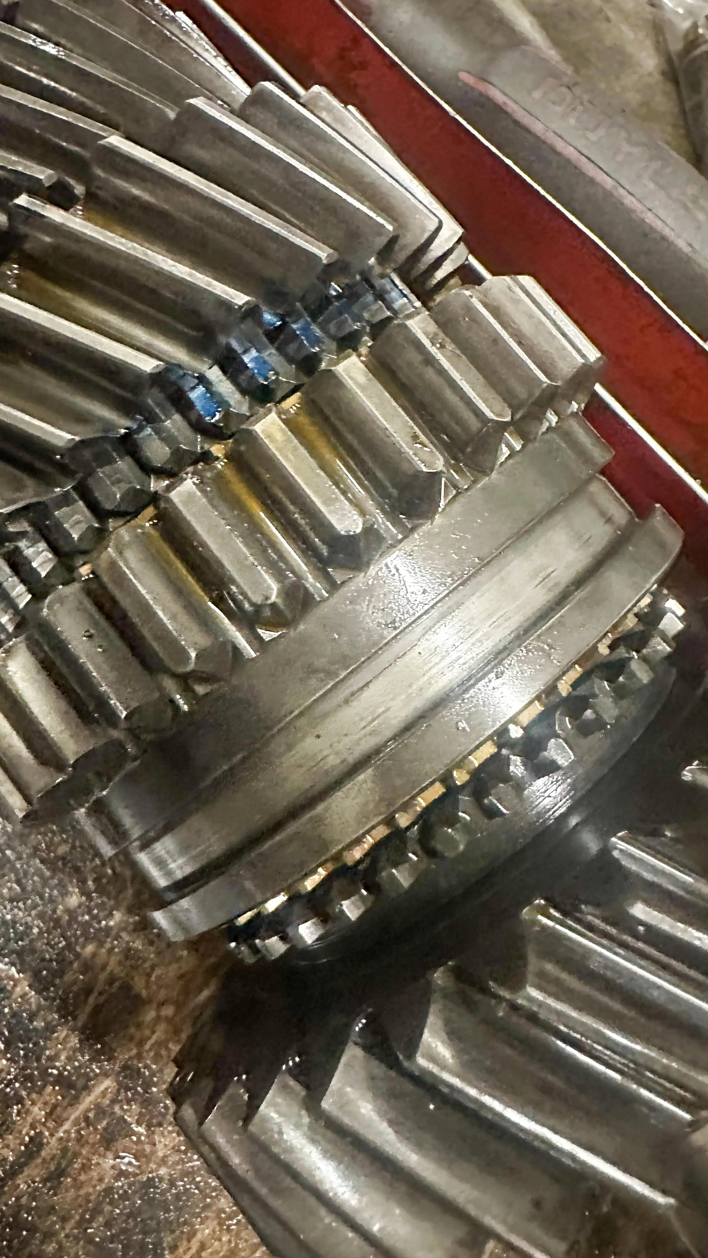 LO_Rescue_LR_RRC_0391.jpg