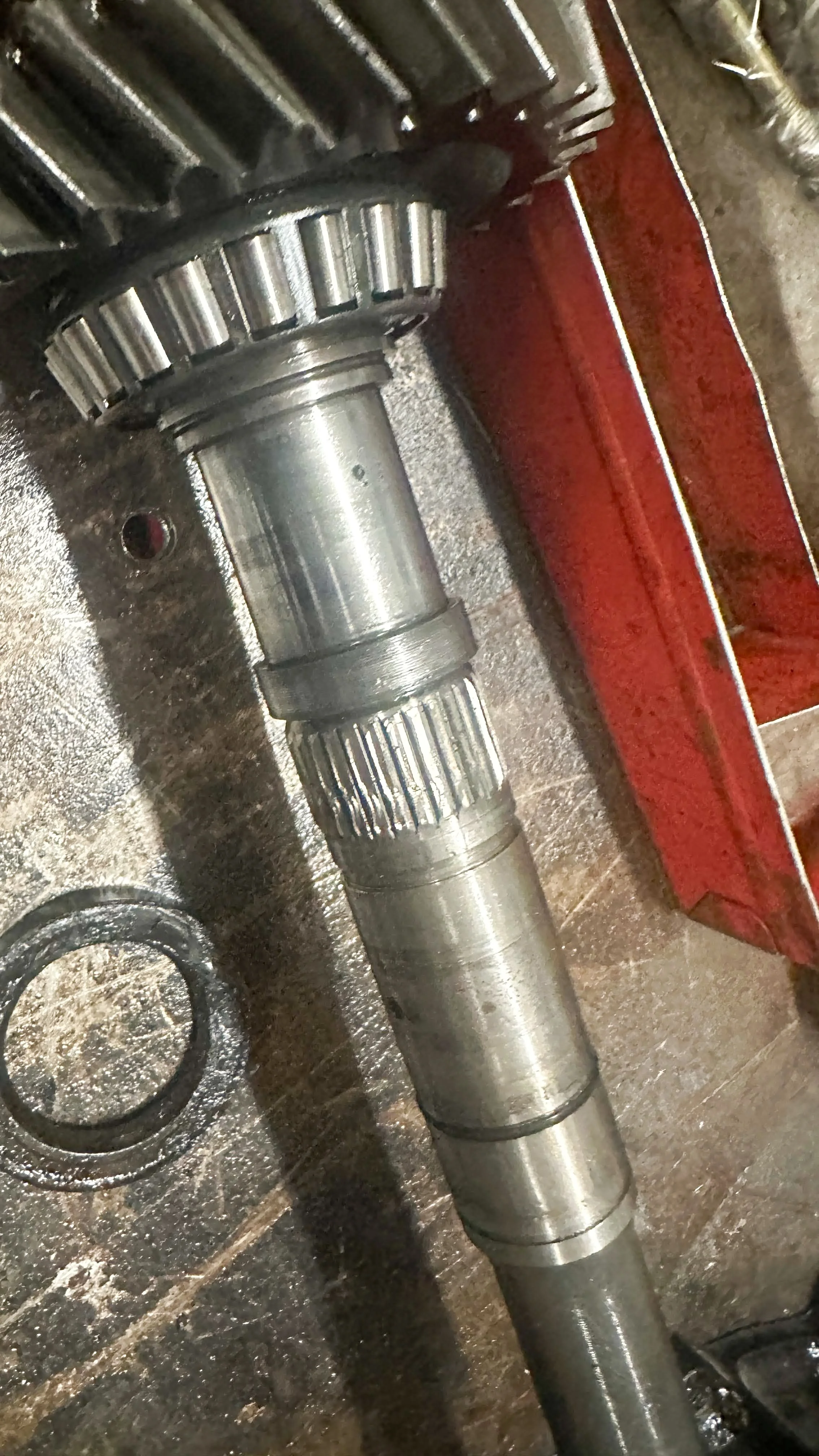 LO_Rescue_LR_RRC_0389.jpg