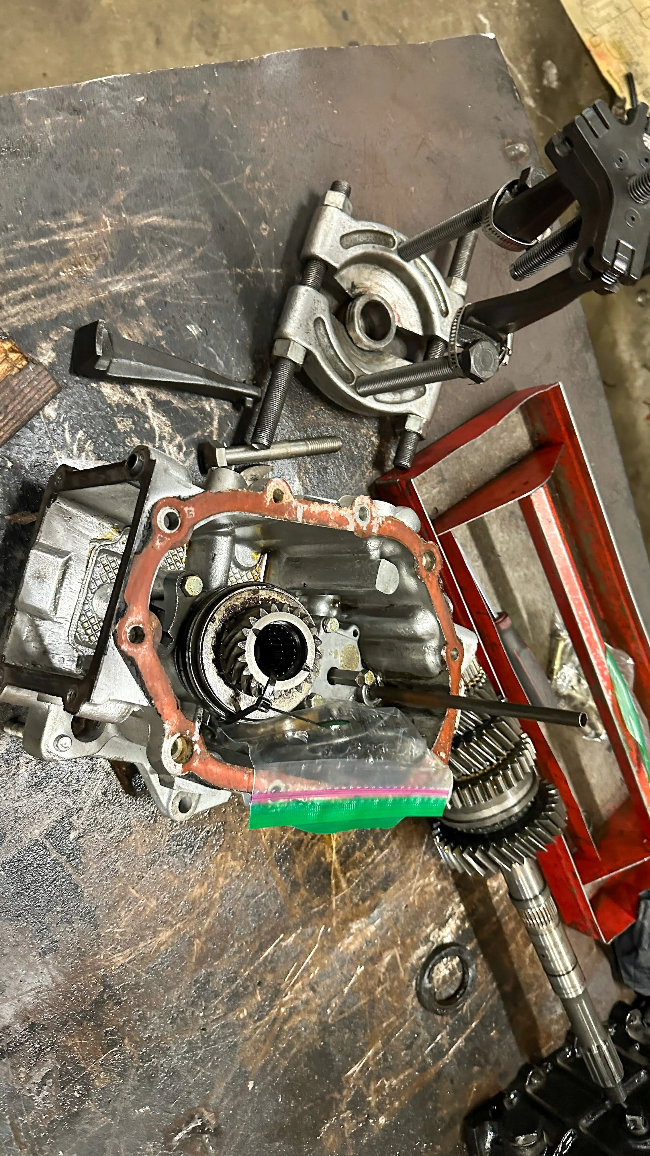 LO_Rescue_LR_RRC_0386.jpg