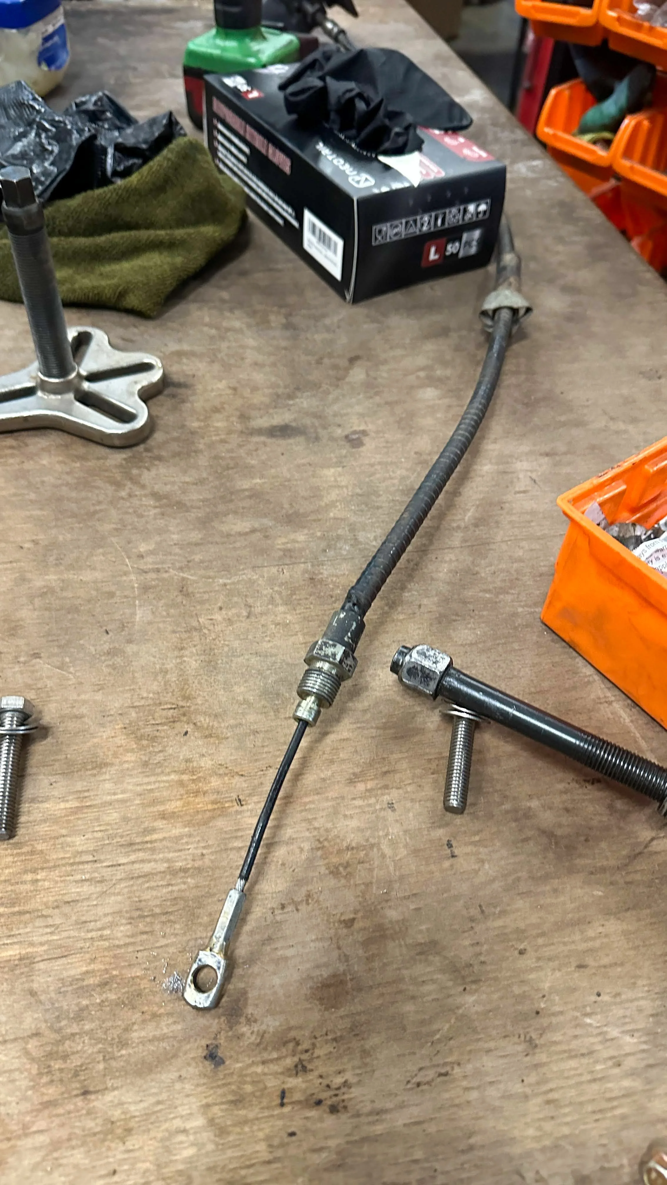 LO_Rescue_LR_RRC_0384.jpg