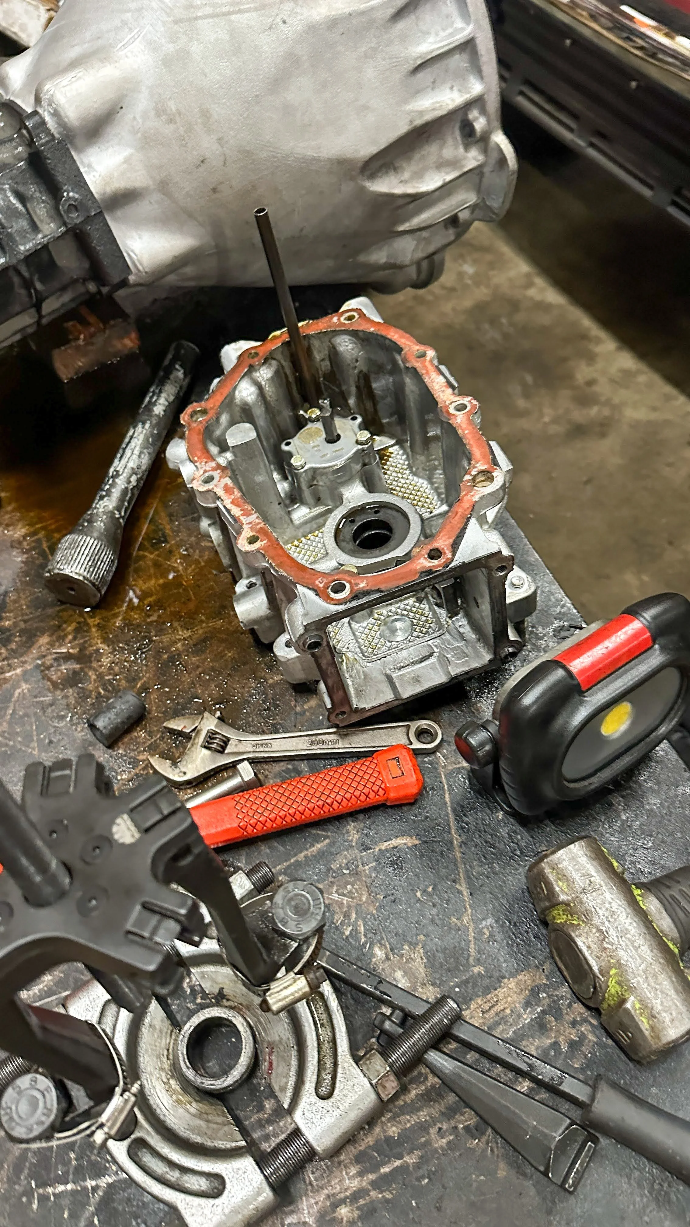 LO_Rescue_LR_RRC_0376.jpg