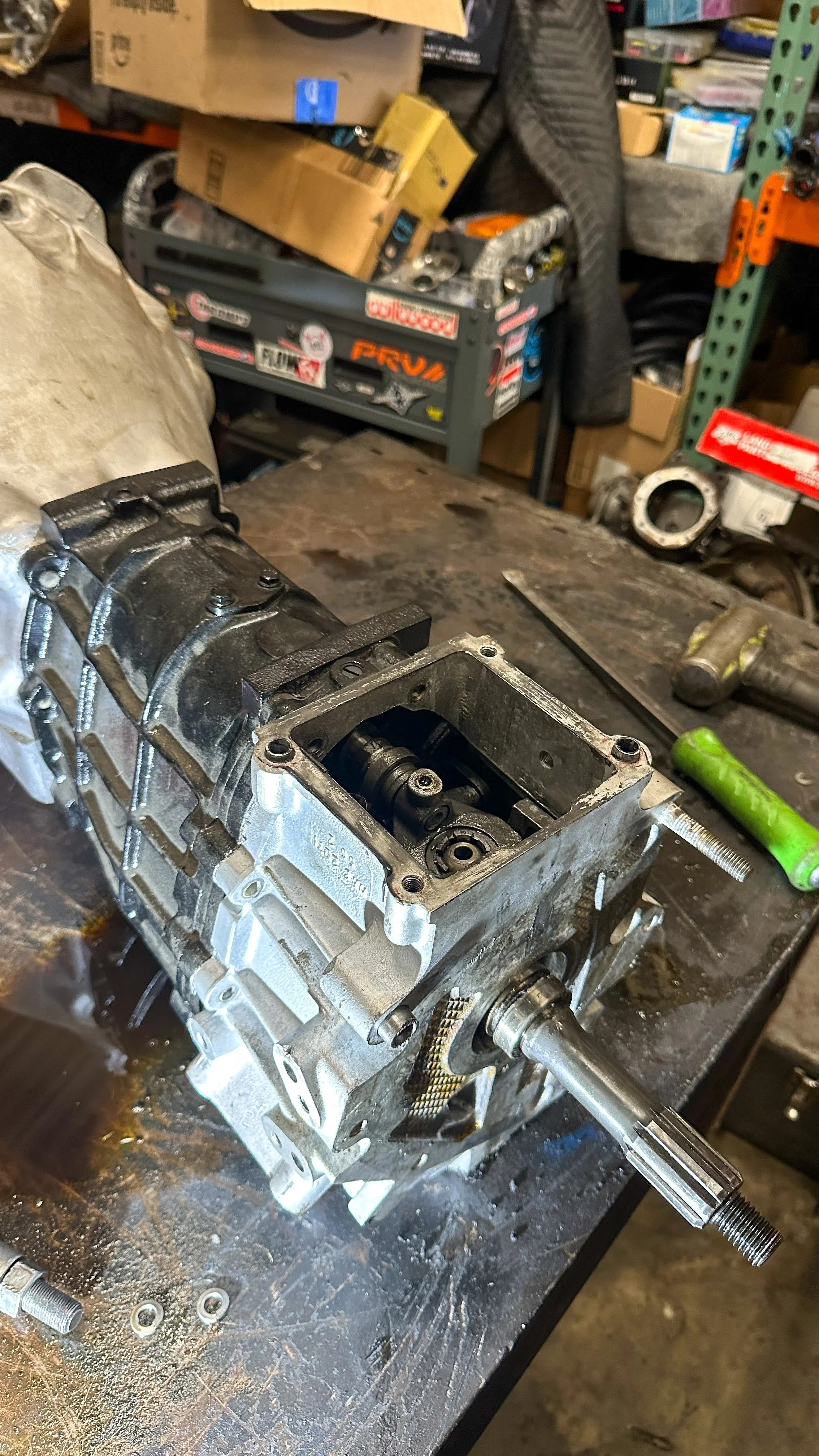 LO_Rescue_LR_RRC_0375.jpg