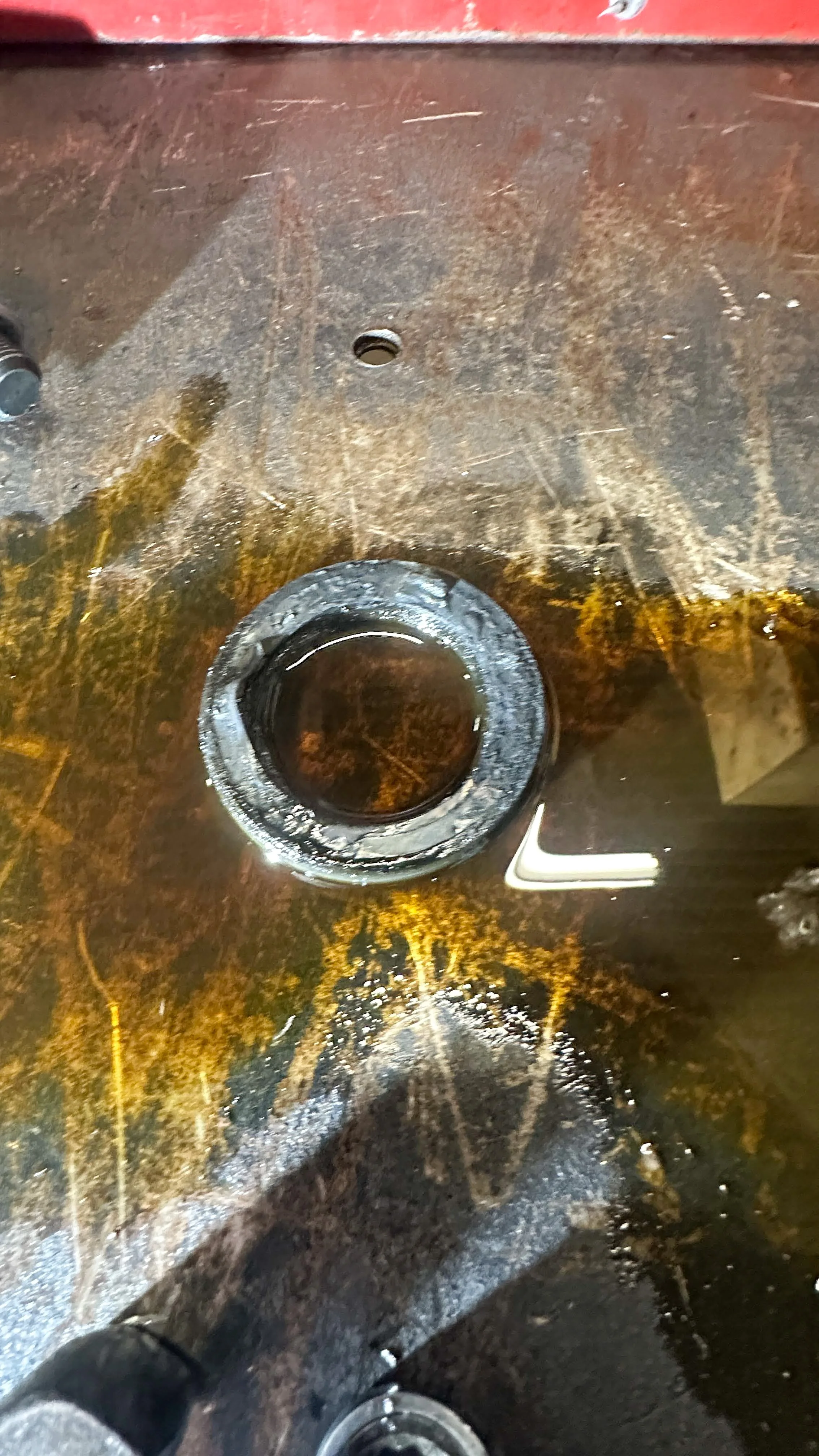 LO_Rescue_LR_RRC_0374.jpg