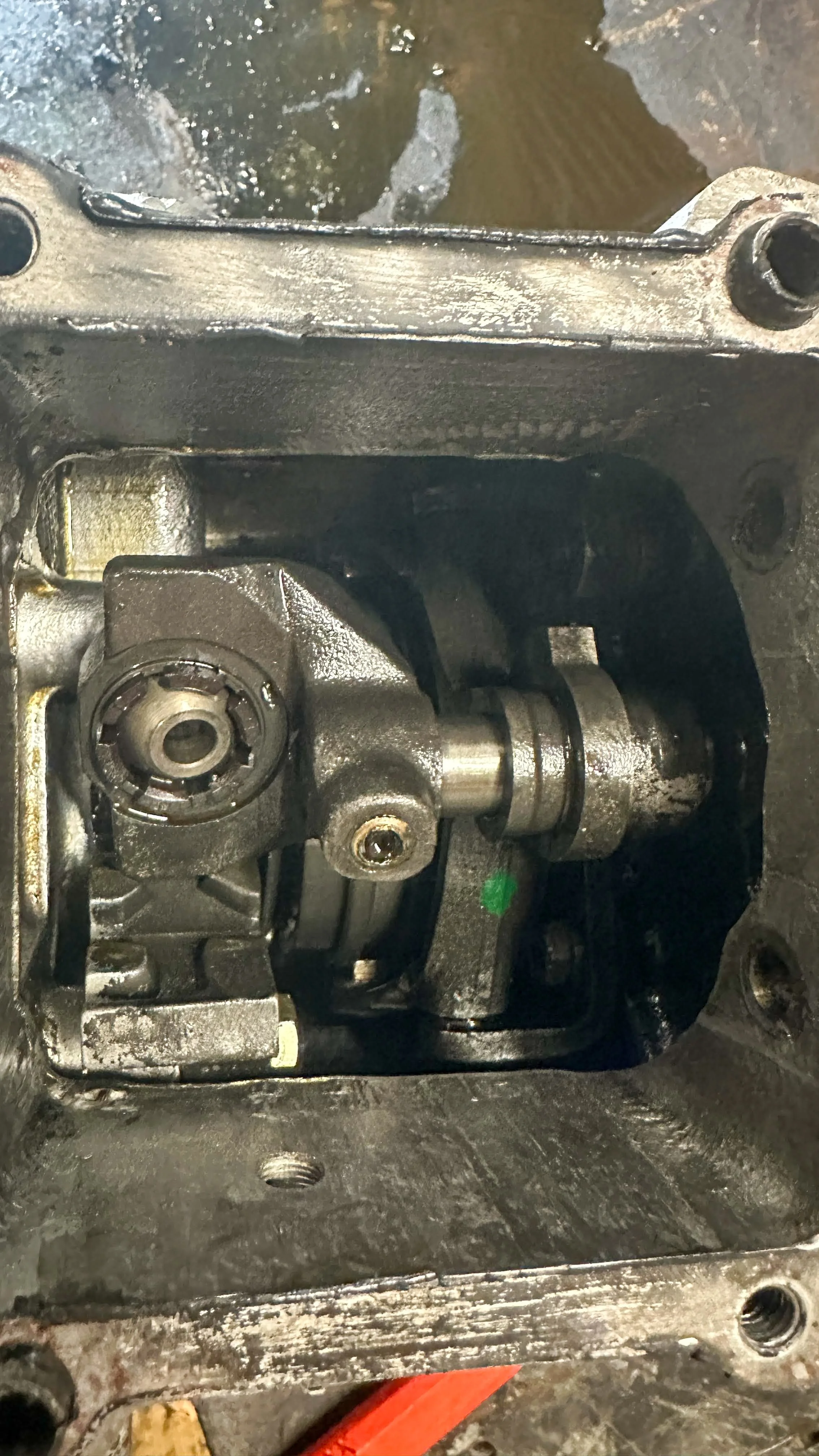 LO_Rescue_LR_RRC_0373.jpg