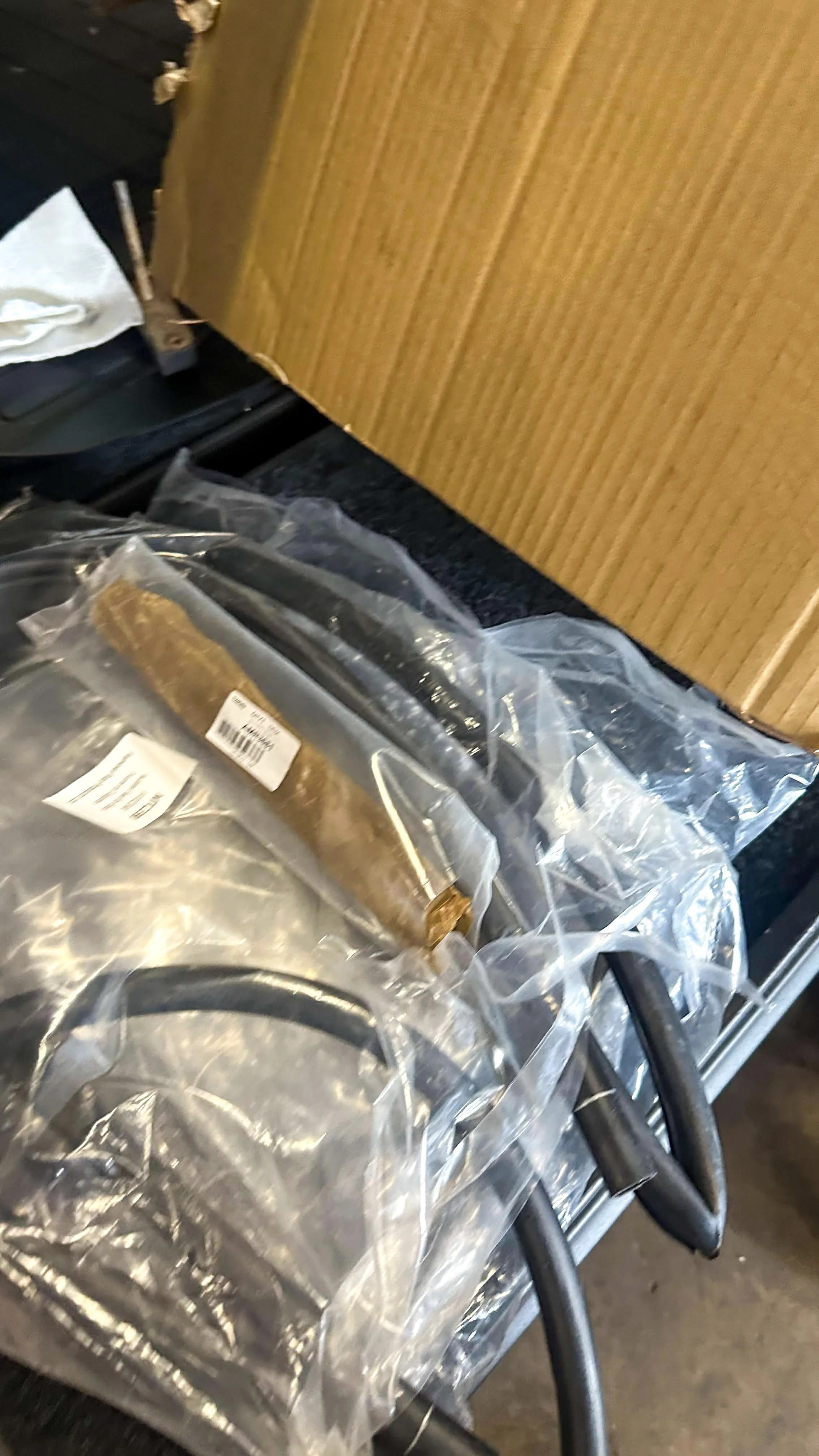 LO_Rescue_LR_RRC_0363.jpg