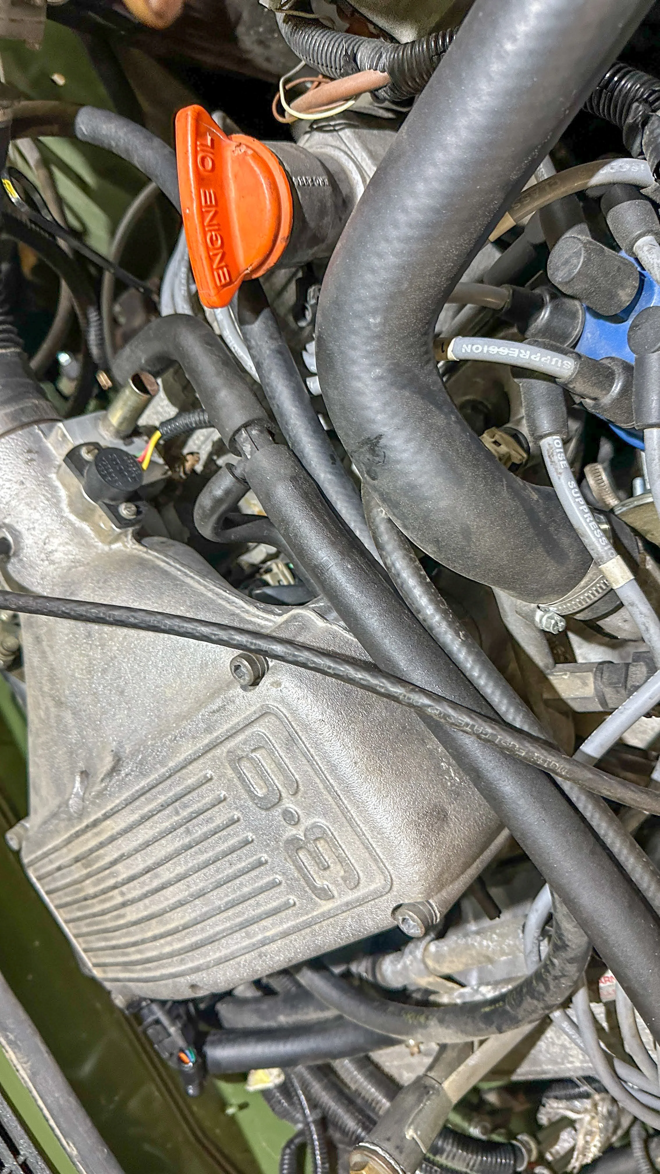 LO_Rescue_LR_RRC_0343.jpg