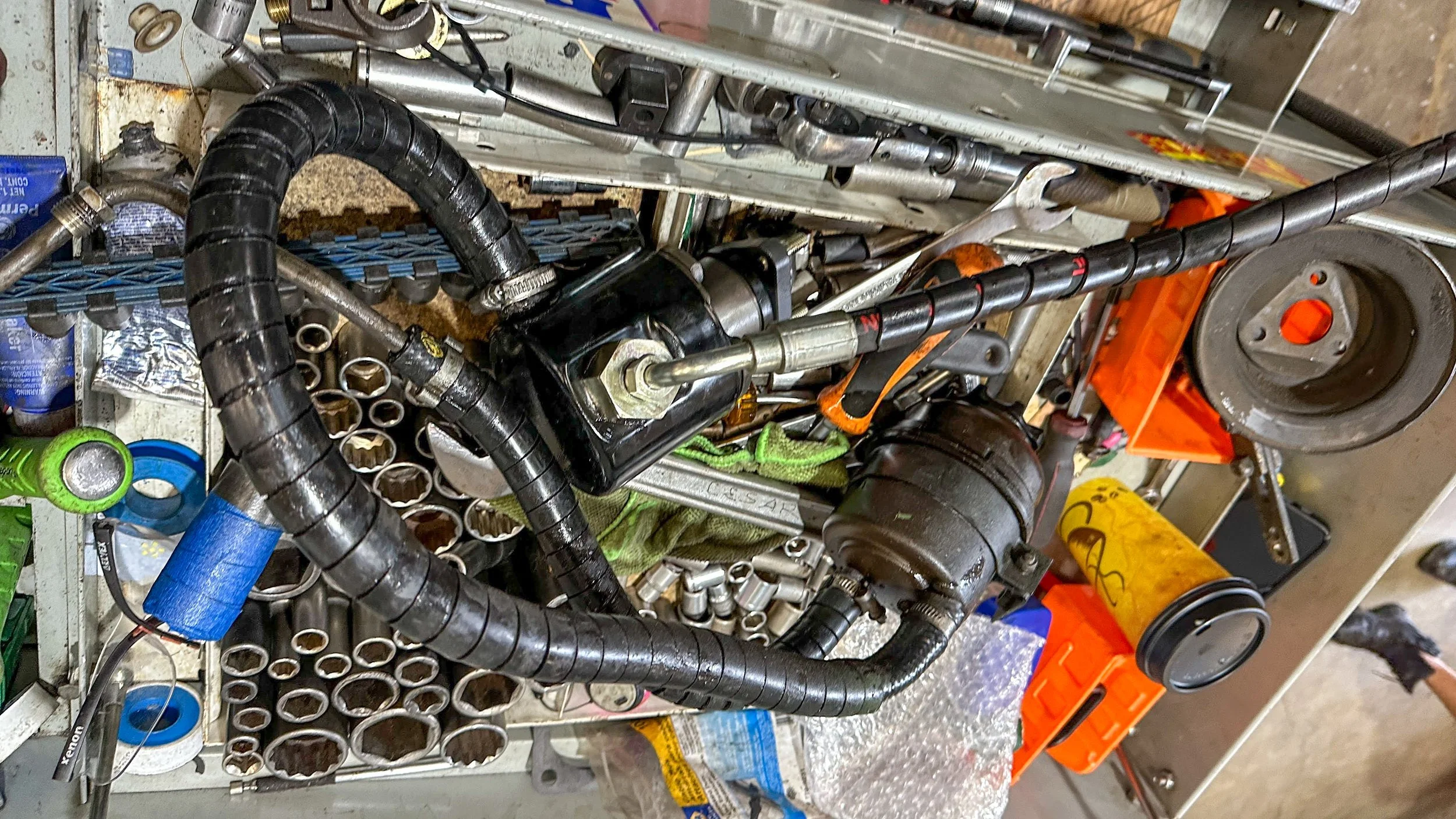LO_Rescue_LR_RRC_0342.jpg