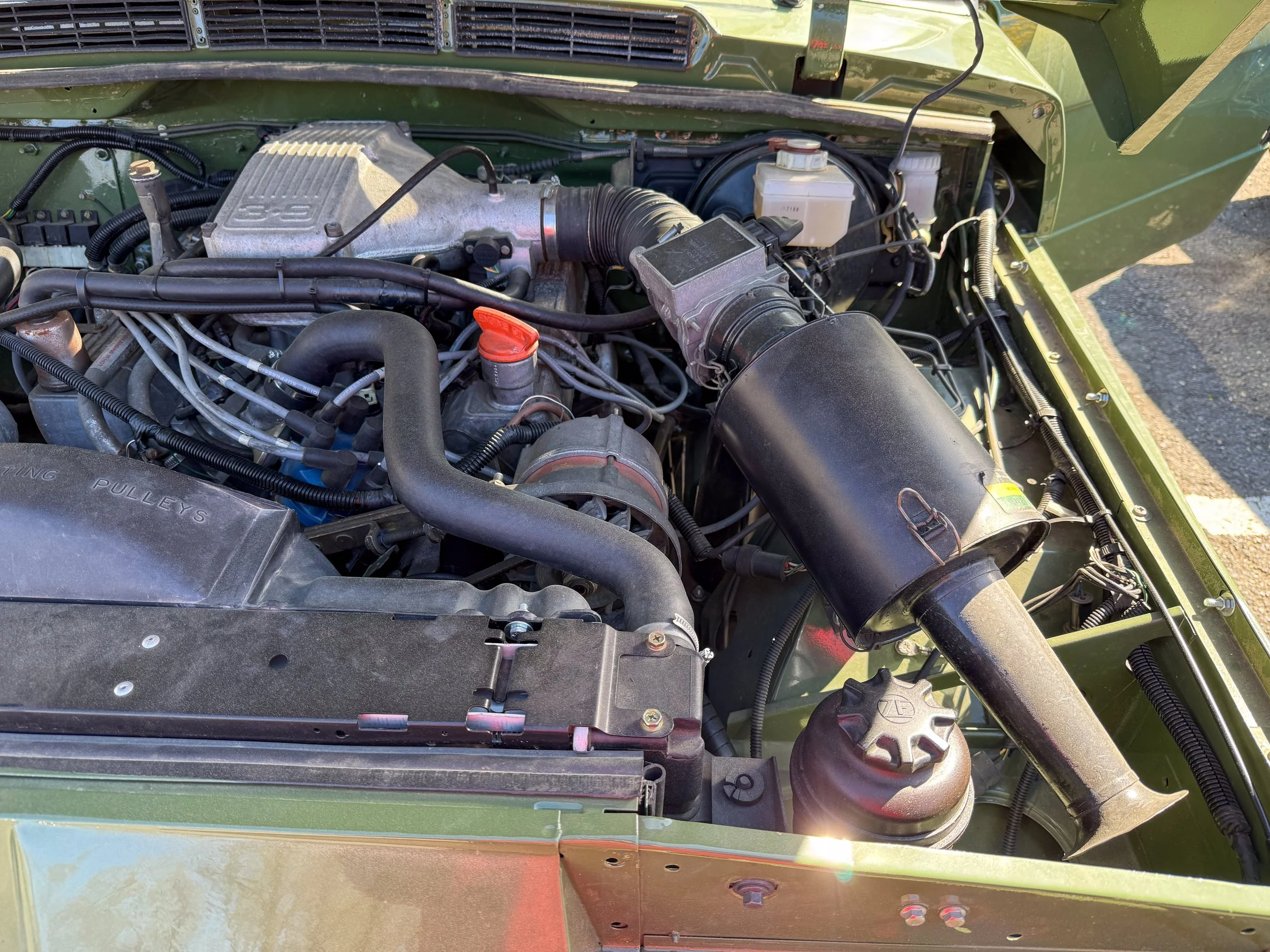 LO_Rescue_LR_RRC_087.jpg
