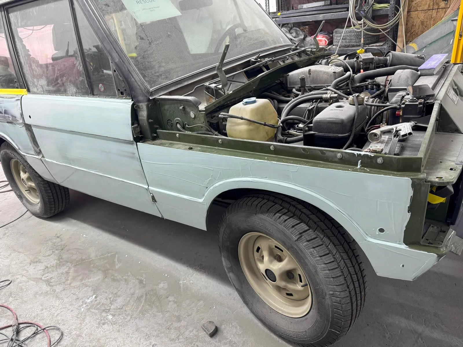 LO_Rescue_LR_RRC_0309.jpg