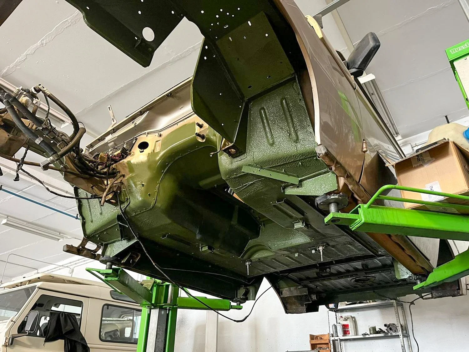 LO_Rescue_LR_RRC_0247.jpg