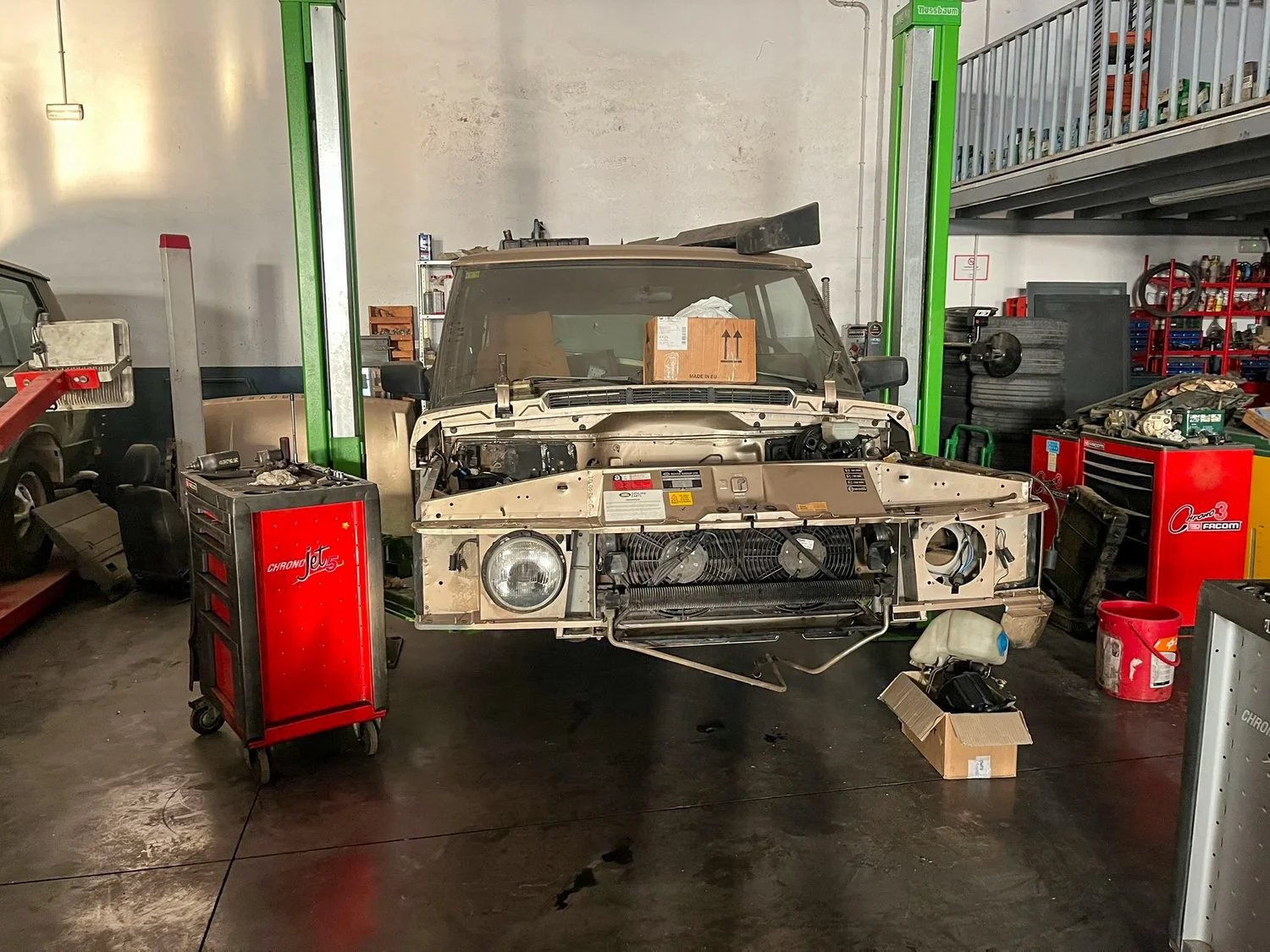 LO_Rescue_LR_RRC_0236.jpg