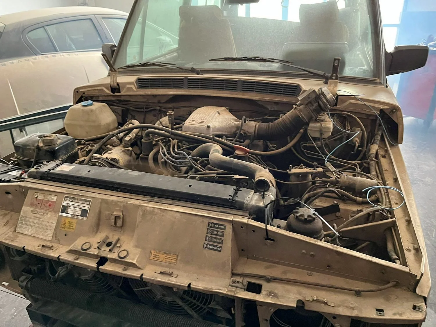 LO_Rescue_LR_RRC_0254.jpg