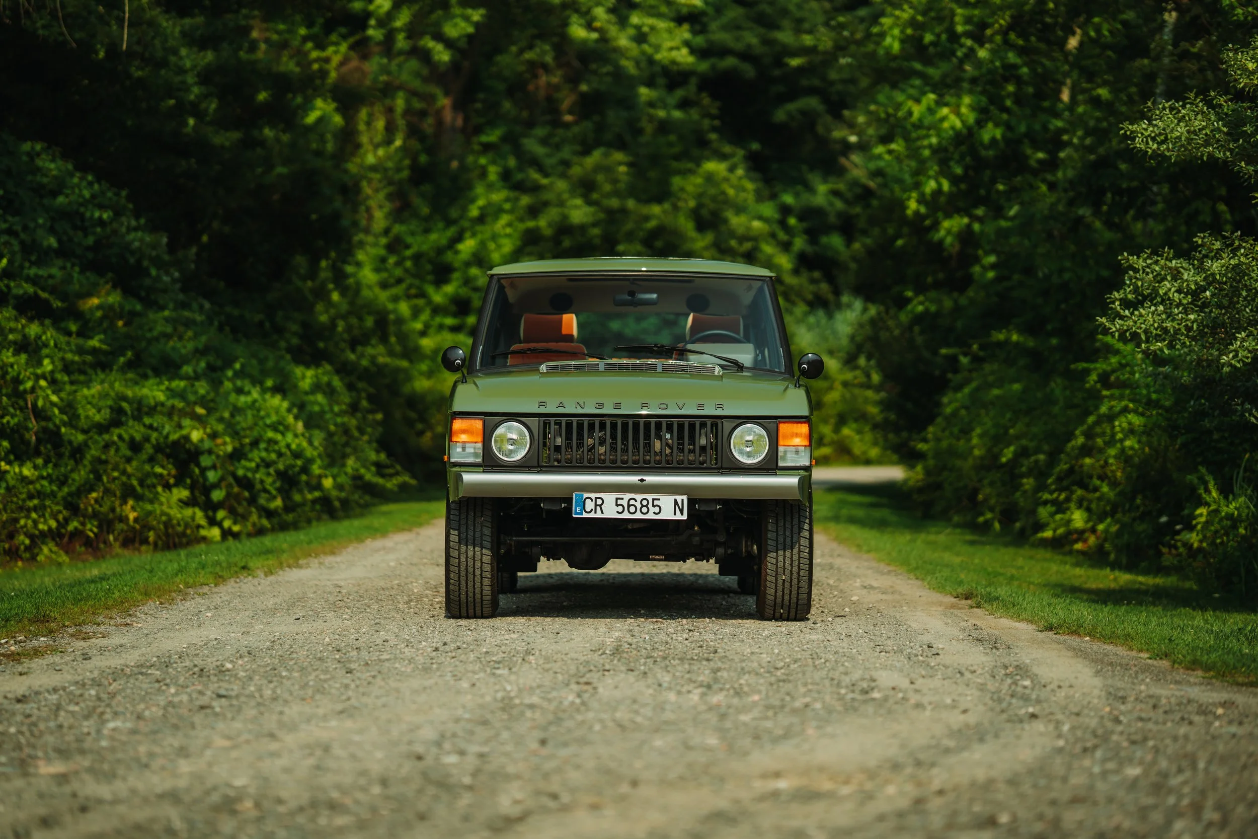 LO_Rescue_LR_RRC_014.jpg