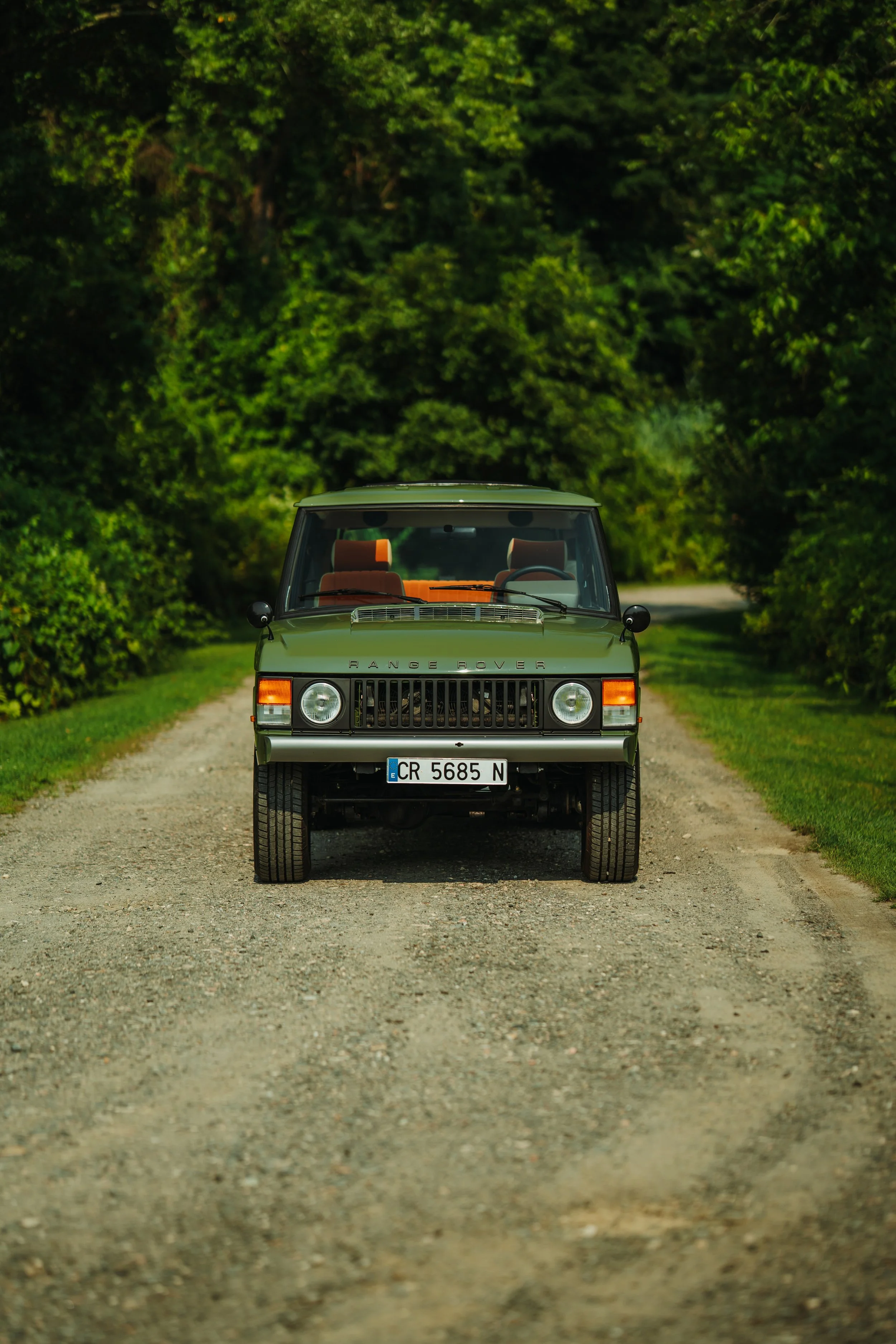 LO_Rescue_LR_RRC_012.jpg