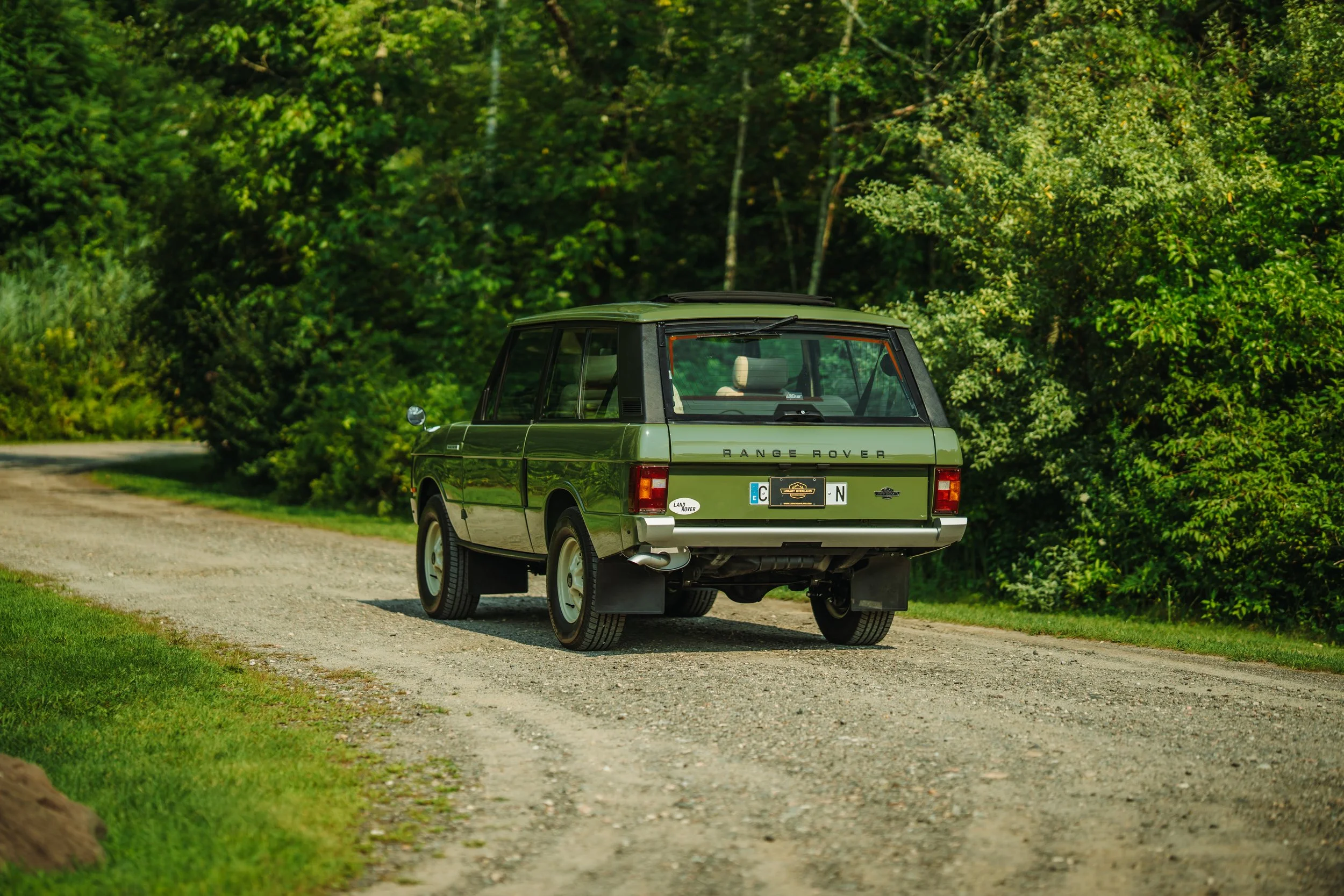 LO_Rescue_LR_RRC_029.jpg