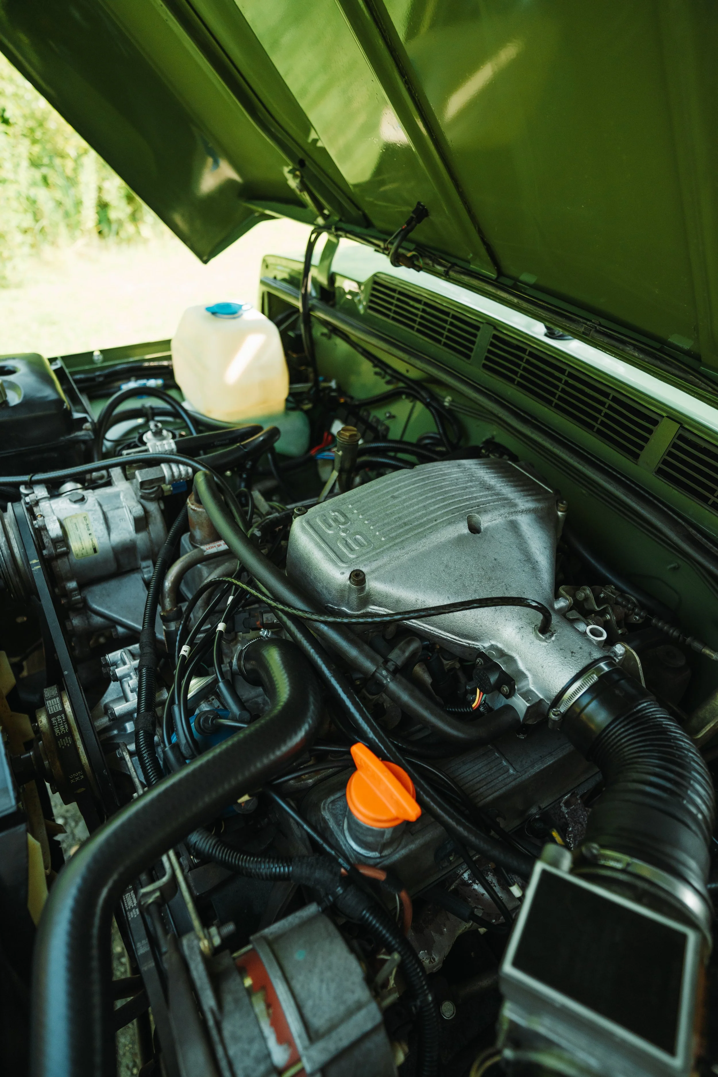 LO_Rescue_LR_RRC_0121.jpg