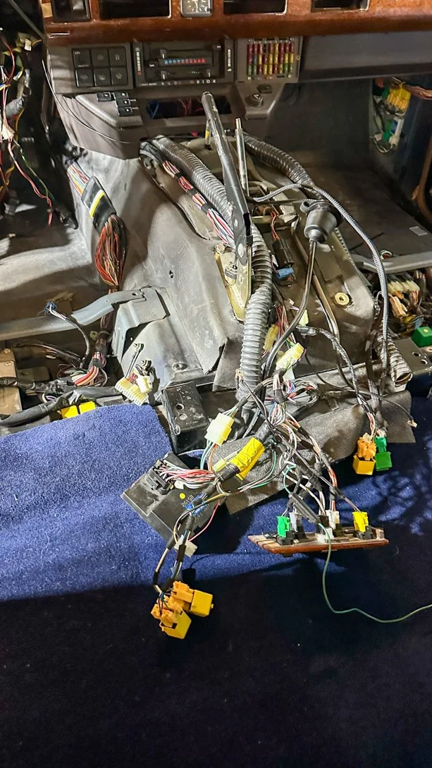 LO_Nova_LR_RR_0597.jpg