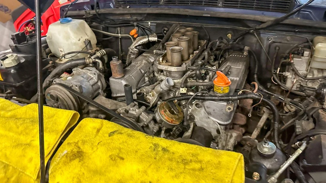 LO_Nova_LR_RR_0225.jpg