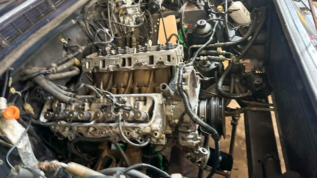 LO_Nova_LR_RR_0180.jpg