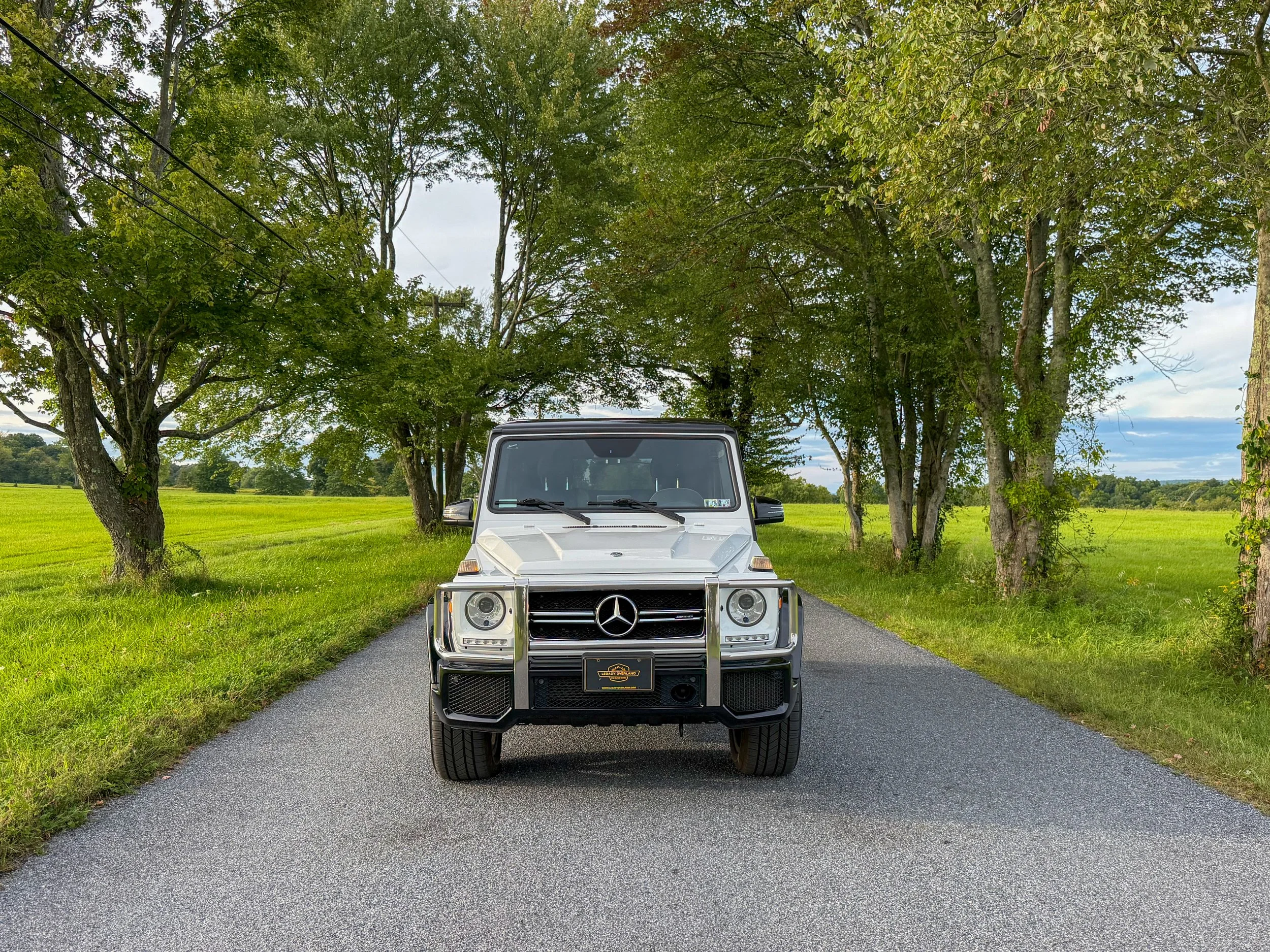 LO_Snow_White_G63_AMG_029.jpg