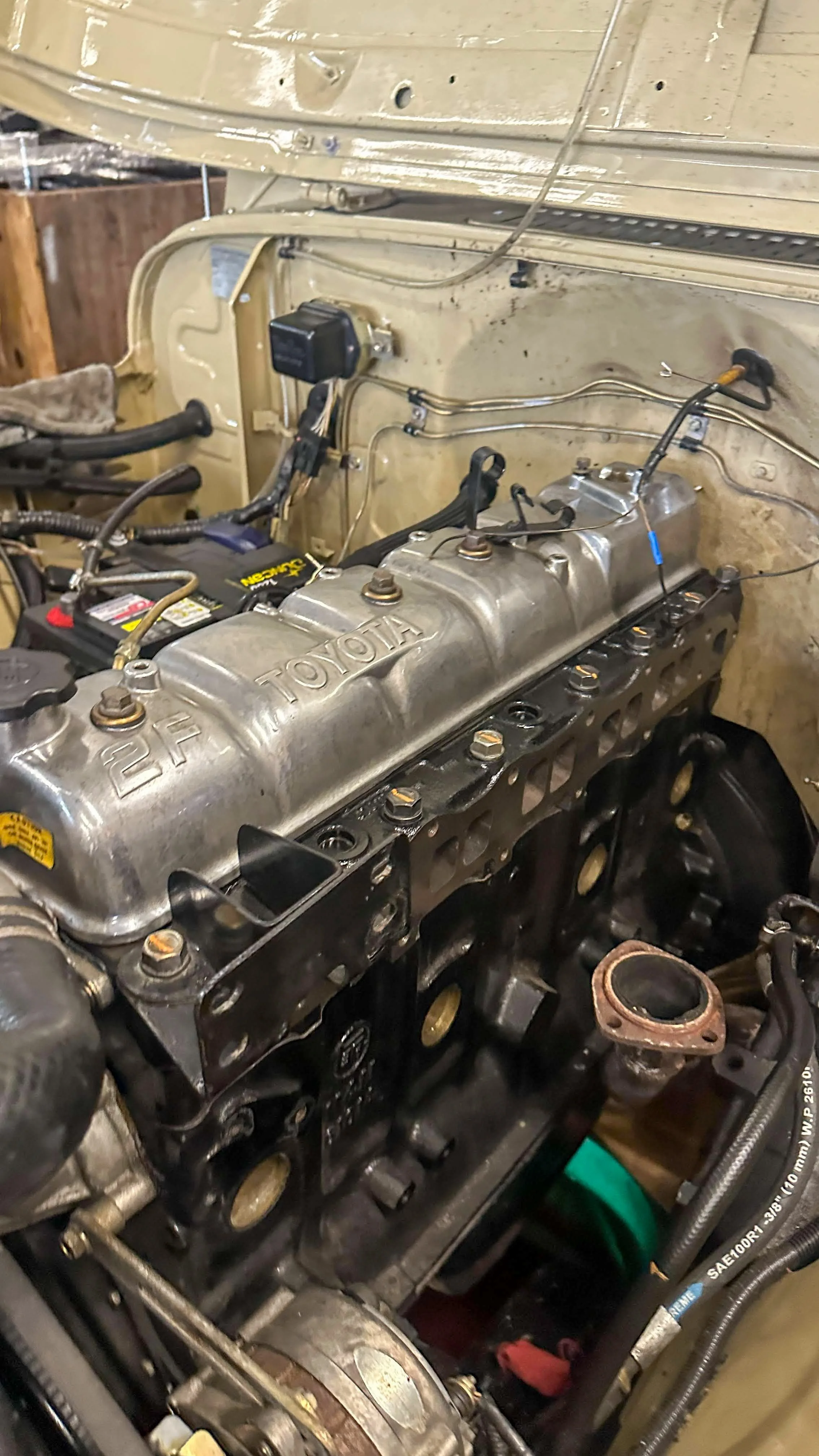 LO_Rocco_FJ45-_0136.jpg