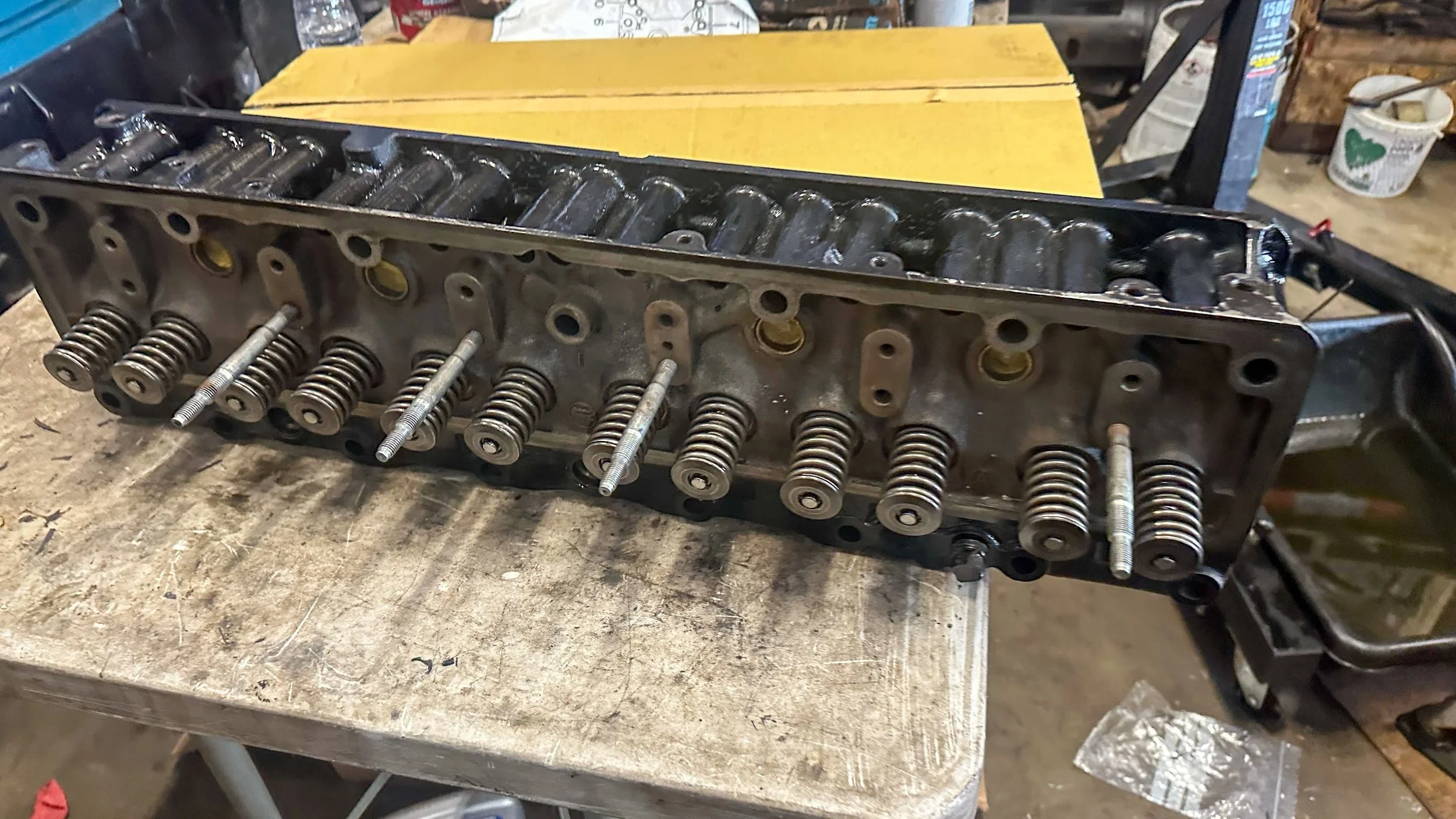 LO_Rocco_FJ45-_0128.jpg