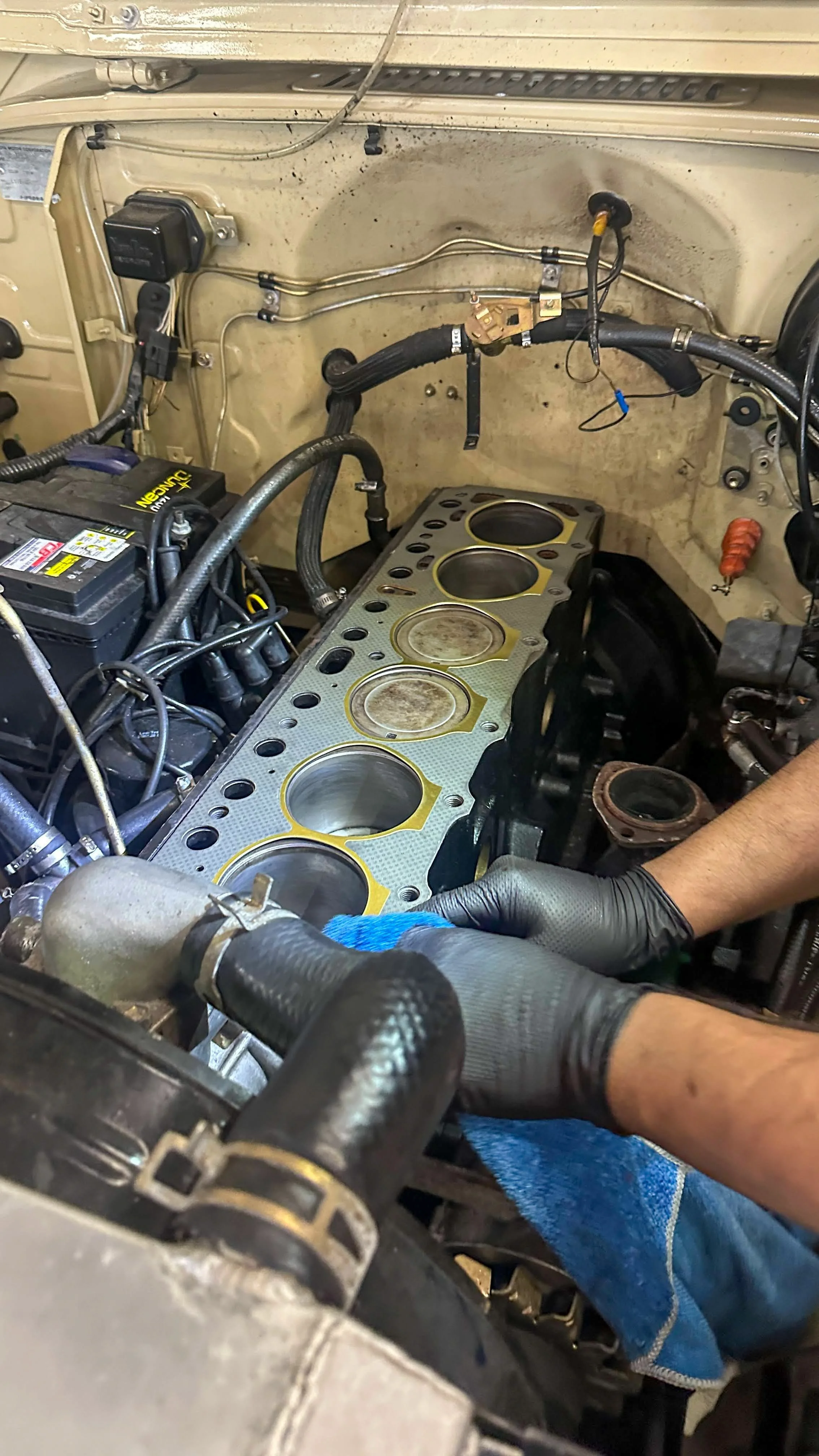 LO_Rocco_FJ45-_0126.jpg