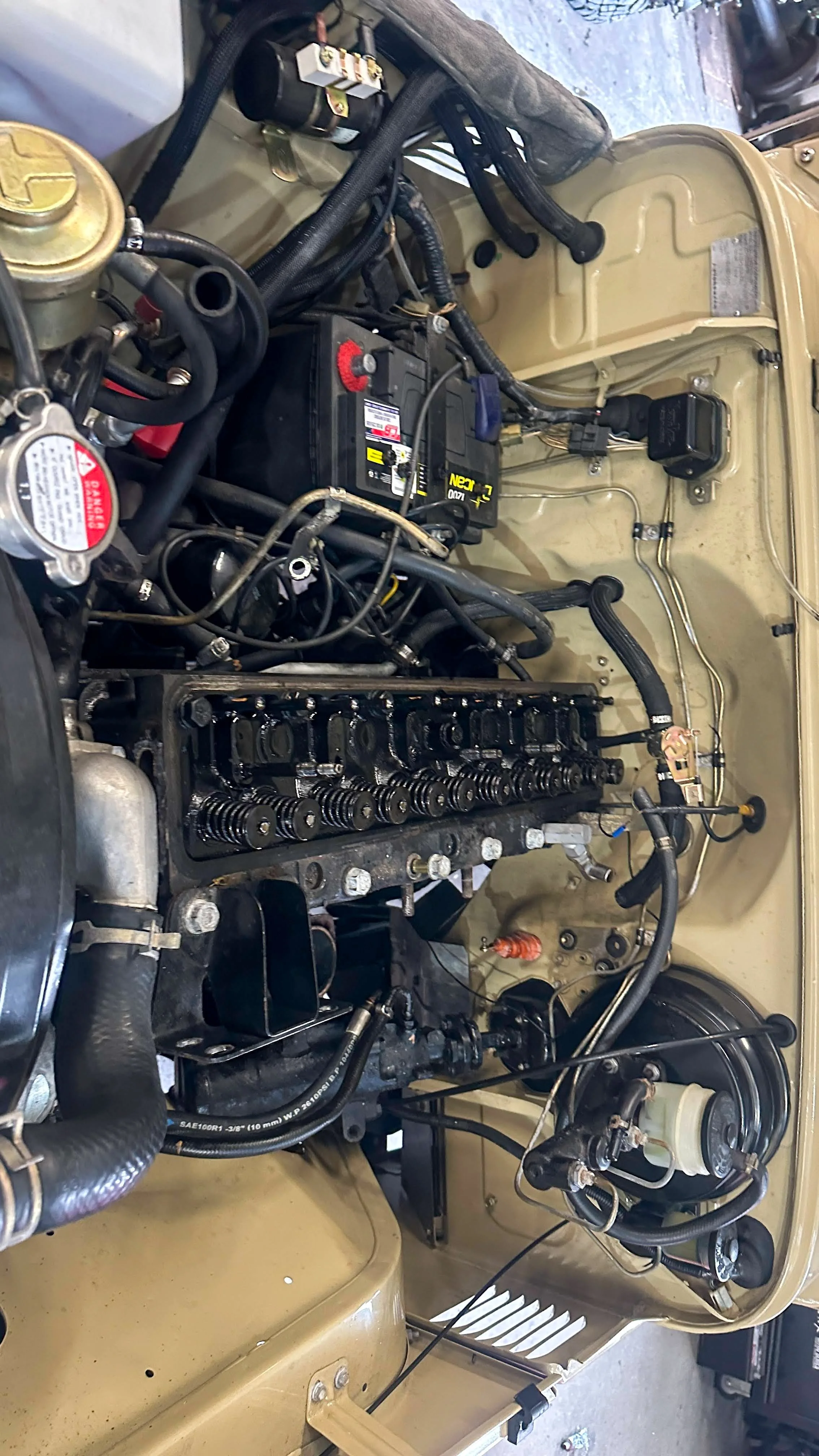 LO_Rocco_FJ45-_0123.jpg
