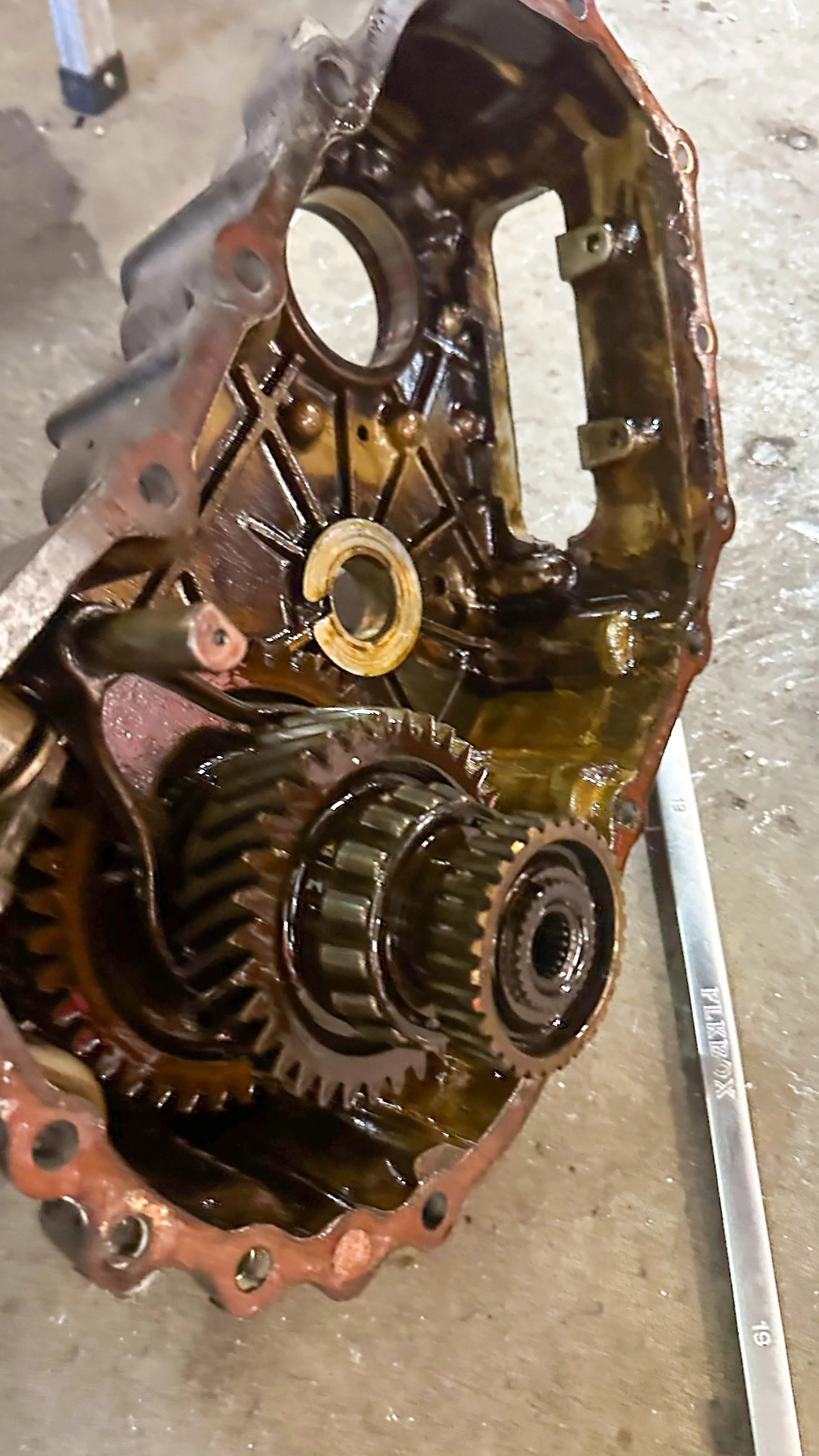 LO_Rocco_FJ45-_0111.jpg