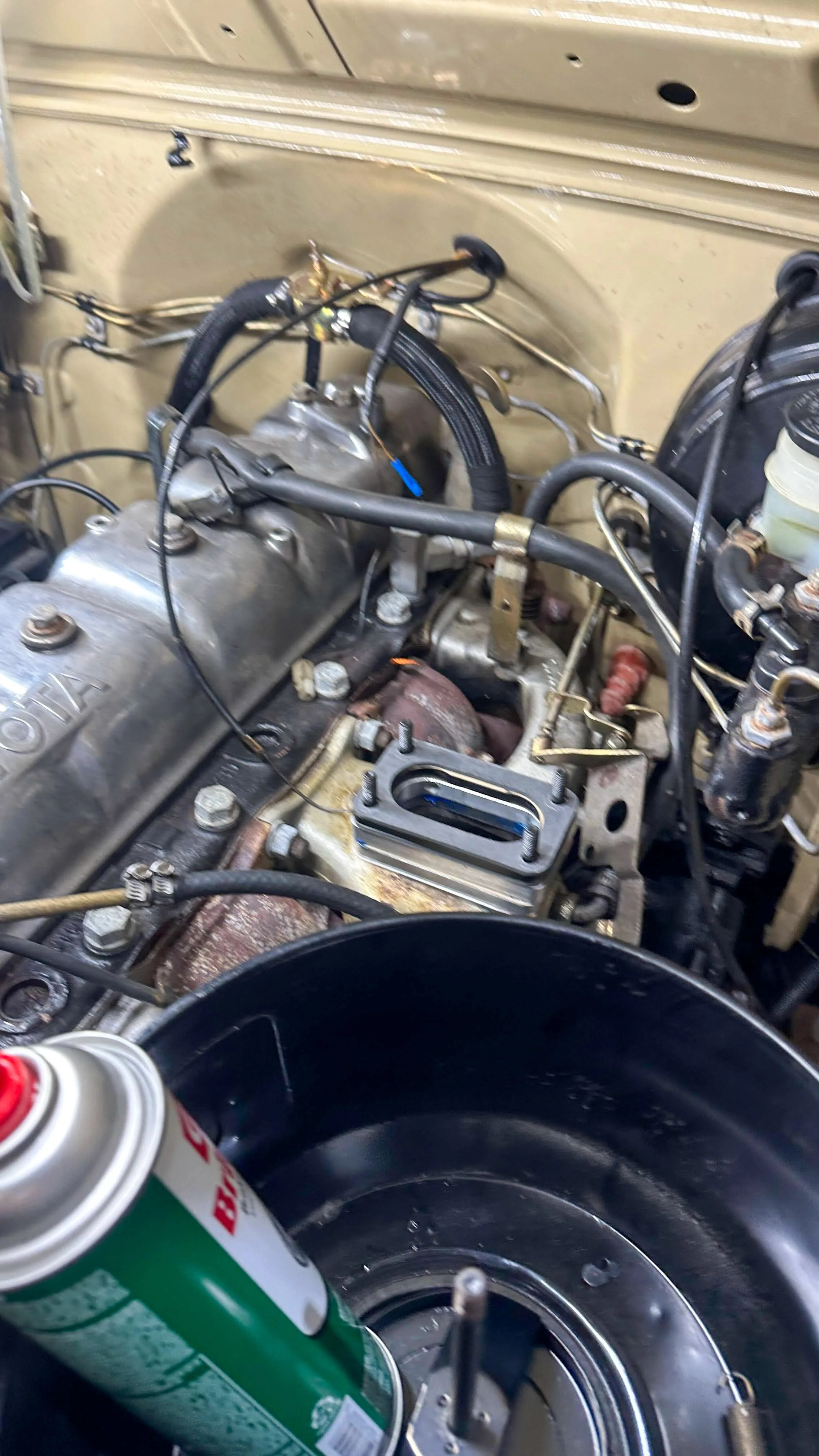 LO_Rocco_FJ45-_0100.jpg