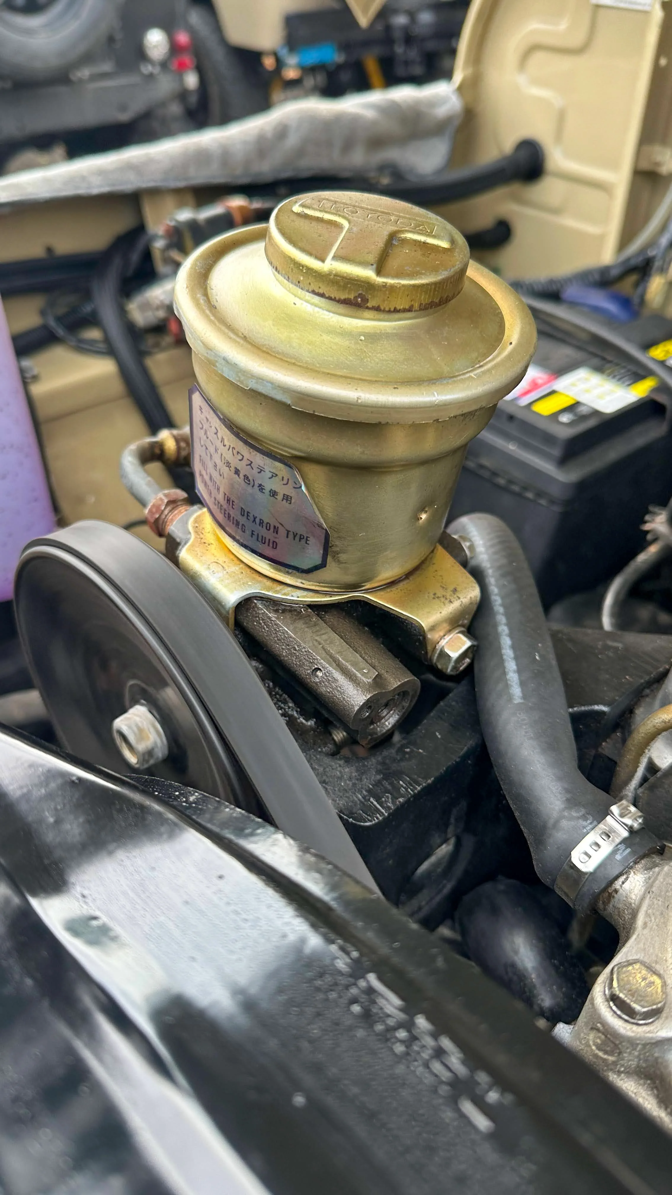LO_Rocco_FJ45-_096.jpg