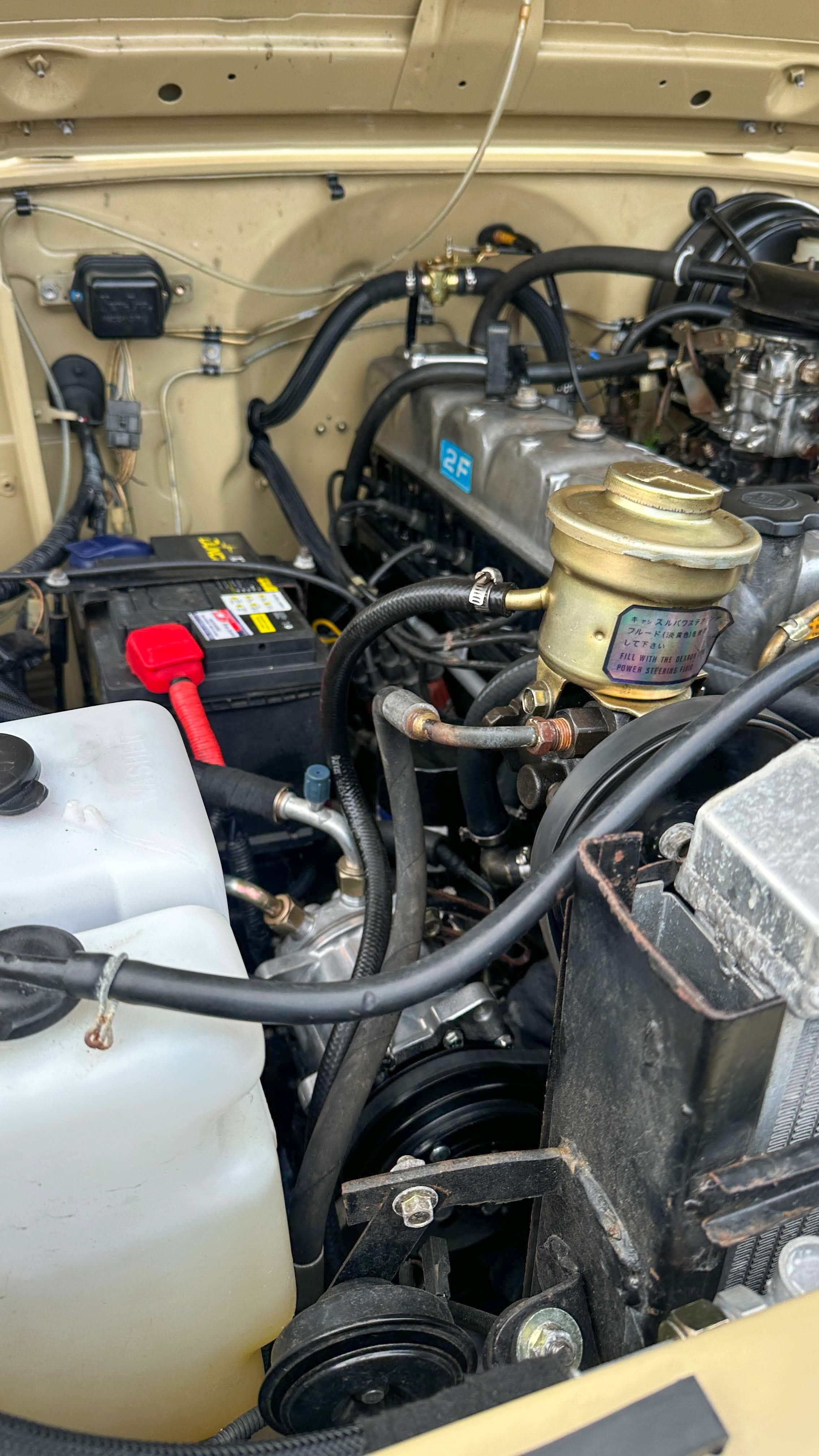 LO_Rocco_FJ45-_095.jpg