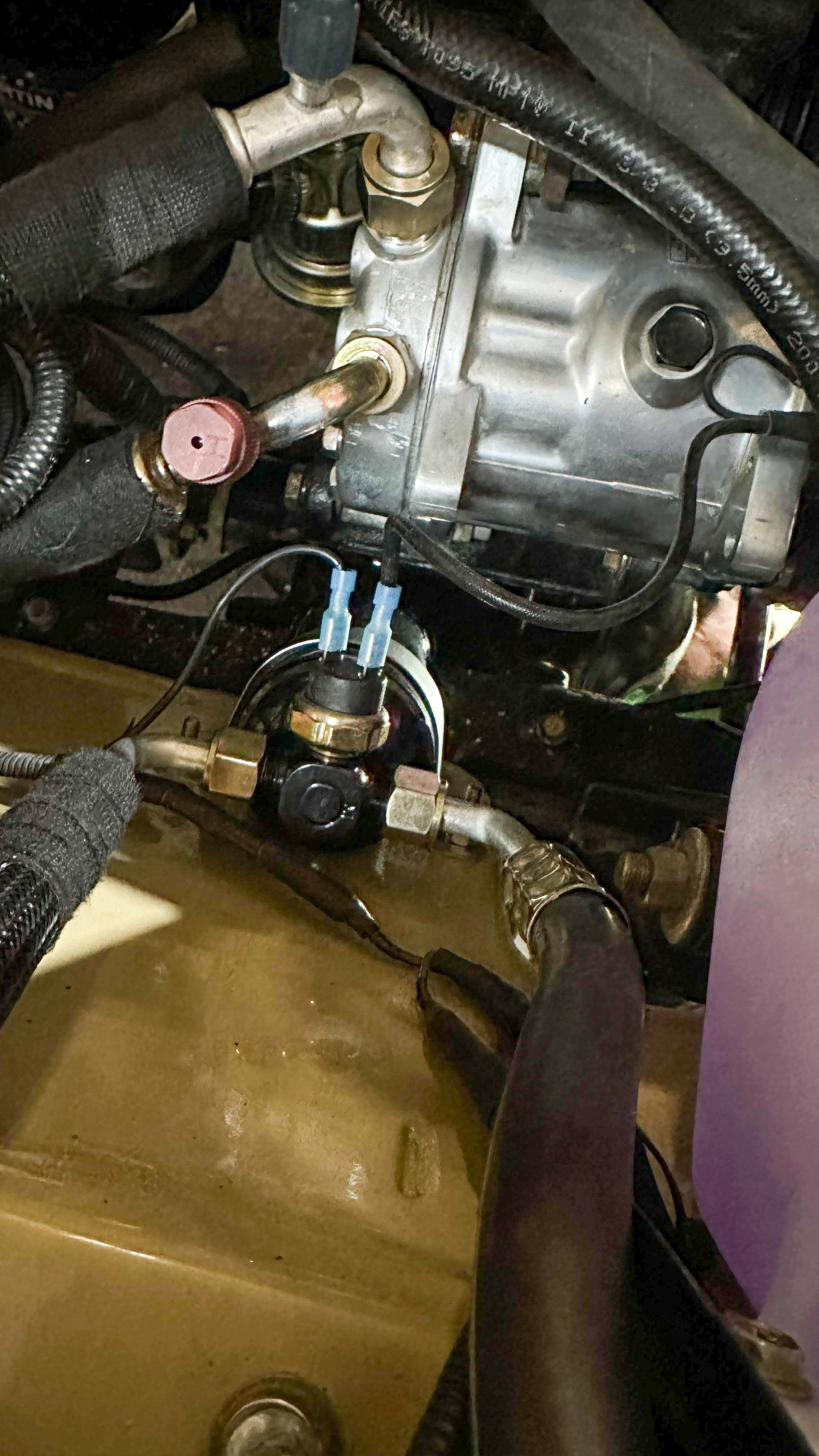LO_Rocco_FJ45-_092.jpg