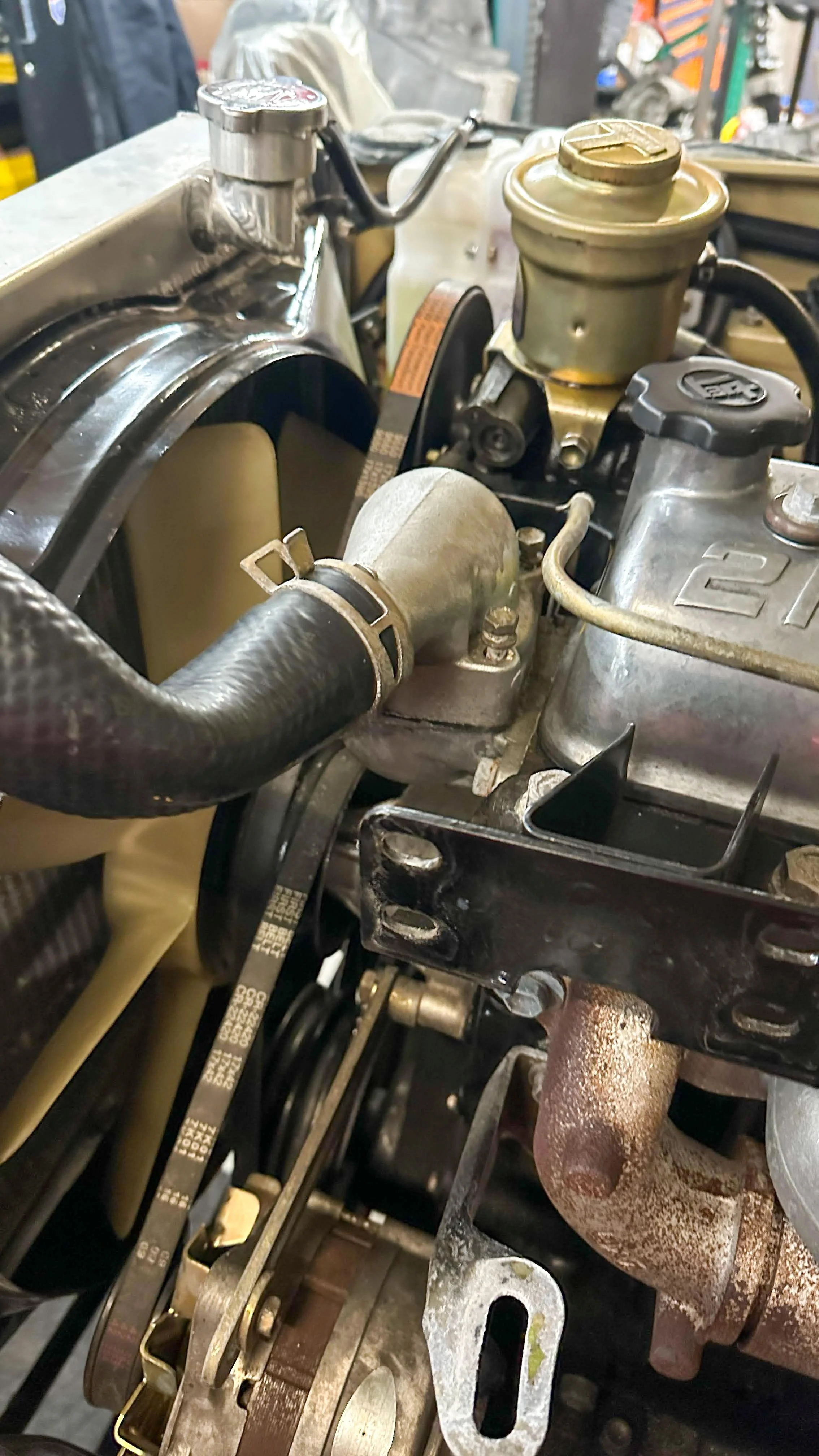 LO_Rocco_FJ45-_089.jpg